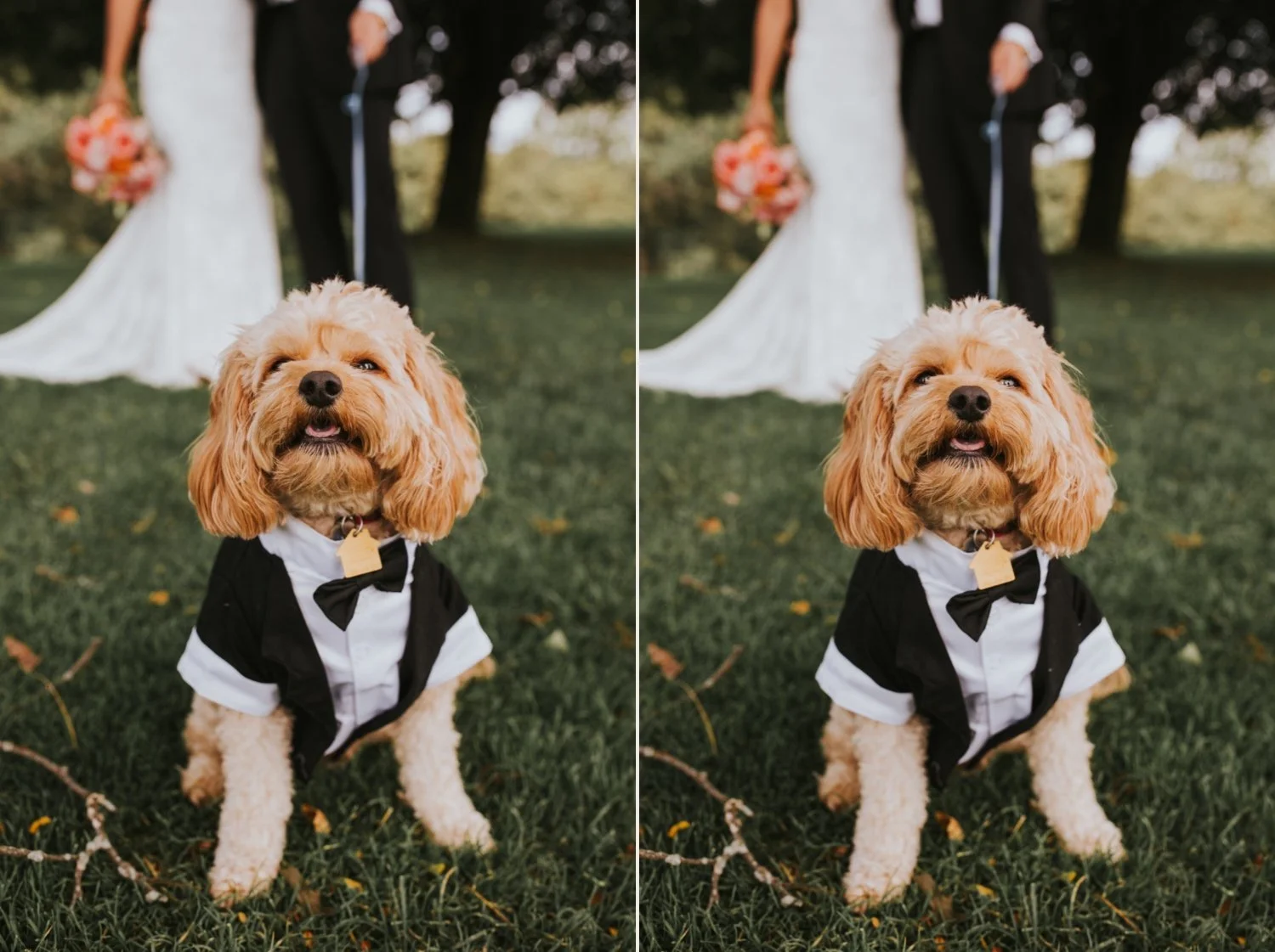 Hudson Valley Wedding Photographer, New York Wedding Photographer, Catskills Wedding Photographer, West Hills Country Club Wedding