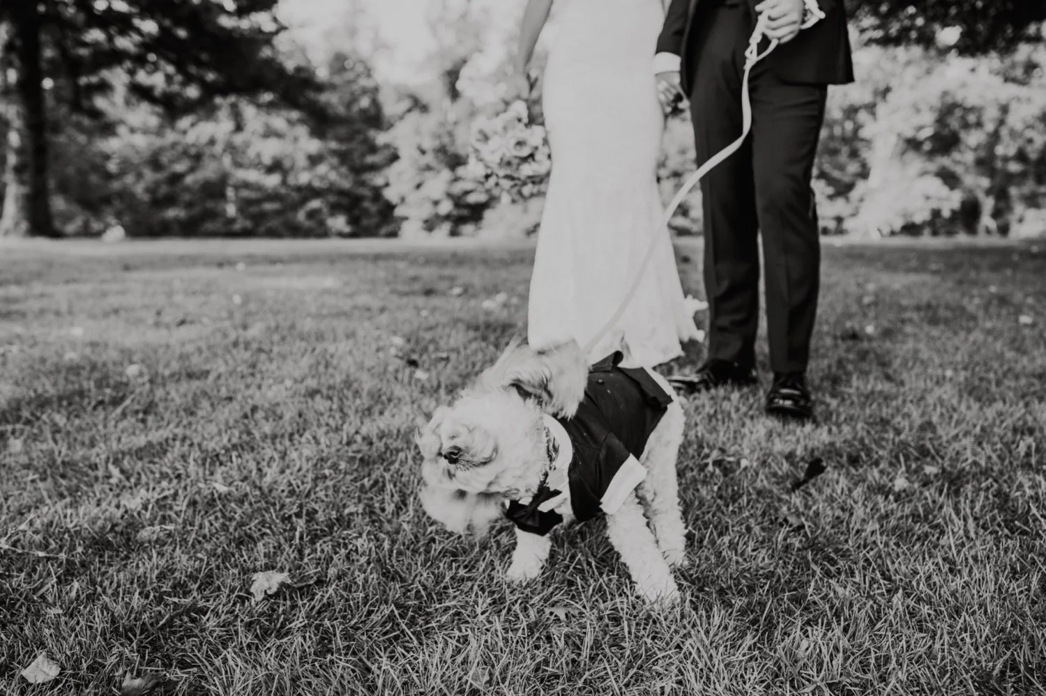 Hudson Valley Wedding Photographer, New York Wedding Photographer, Catskills Wedding Photographer, West Hills Country Club Wedding