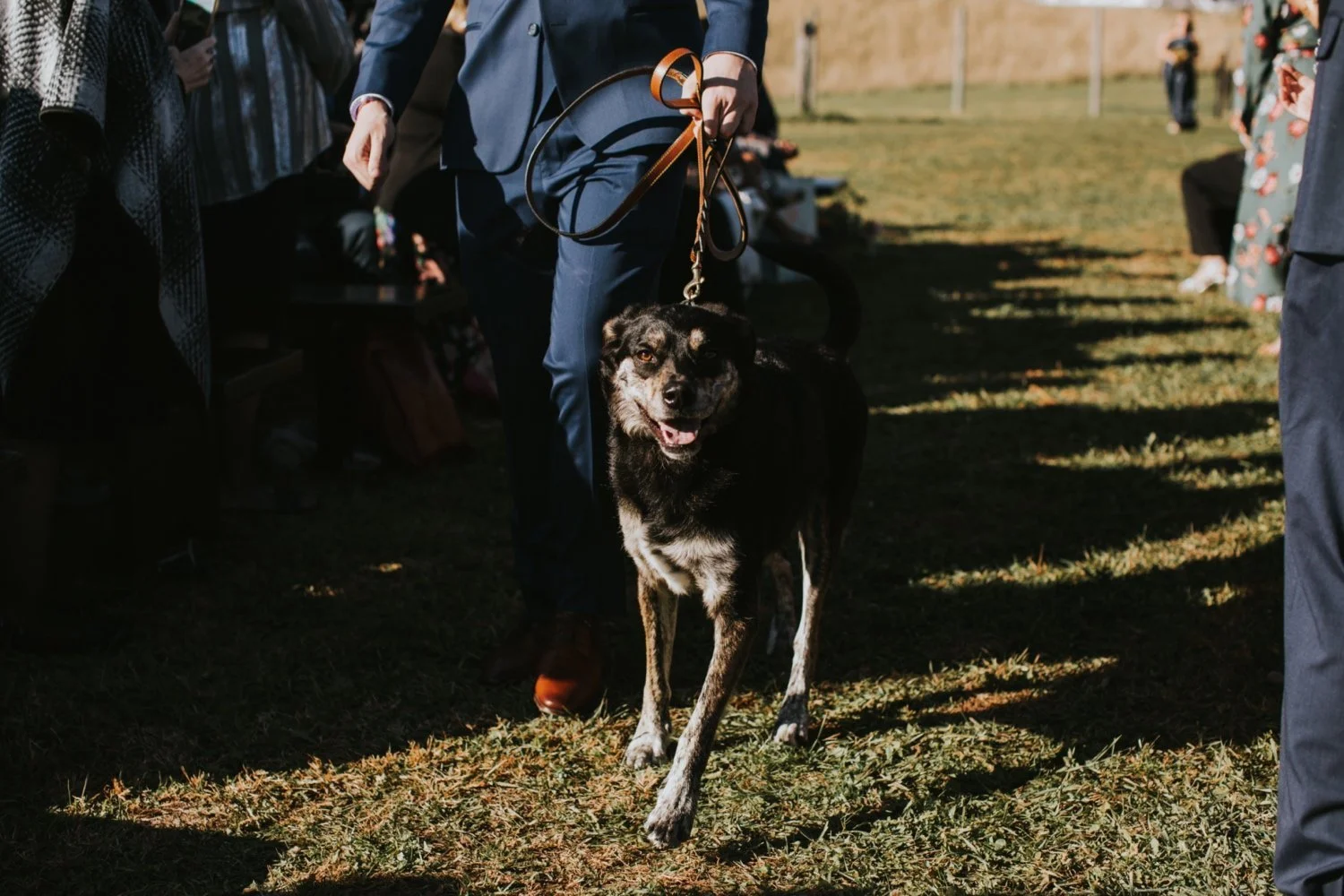 Catskills Wedding Photographer, Seminary Hill Orchard Wedding, Hudson Valley Wedding Photographer, Catskills Wedding in Fall