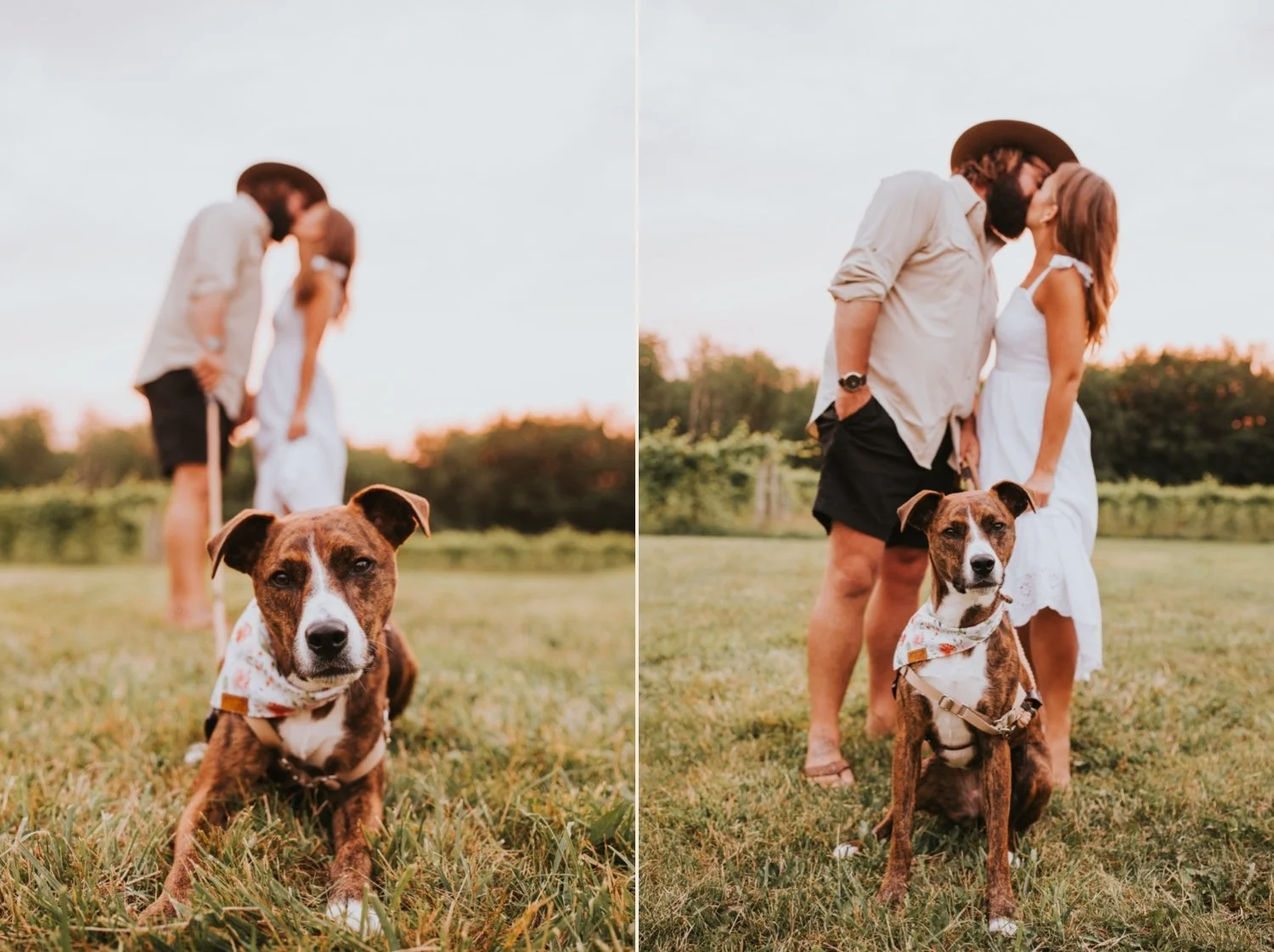 Hudson Valley Wedding Photographer, Stowe Wedding Photographer, Vermont Wedding Photographer, Burlington Wedding Photographer, Shelburne Vineyards, Shelburne Vineyards Engagement Photos