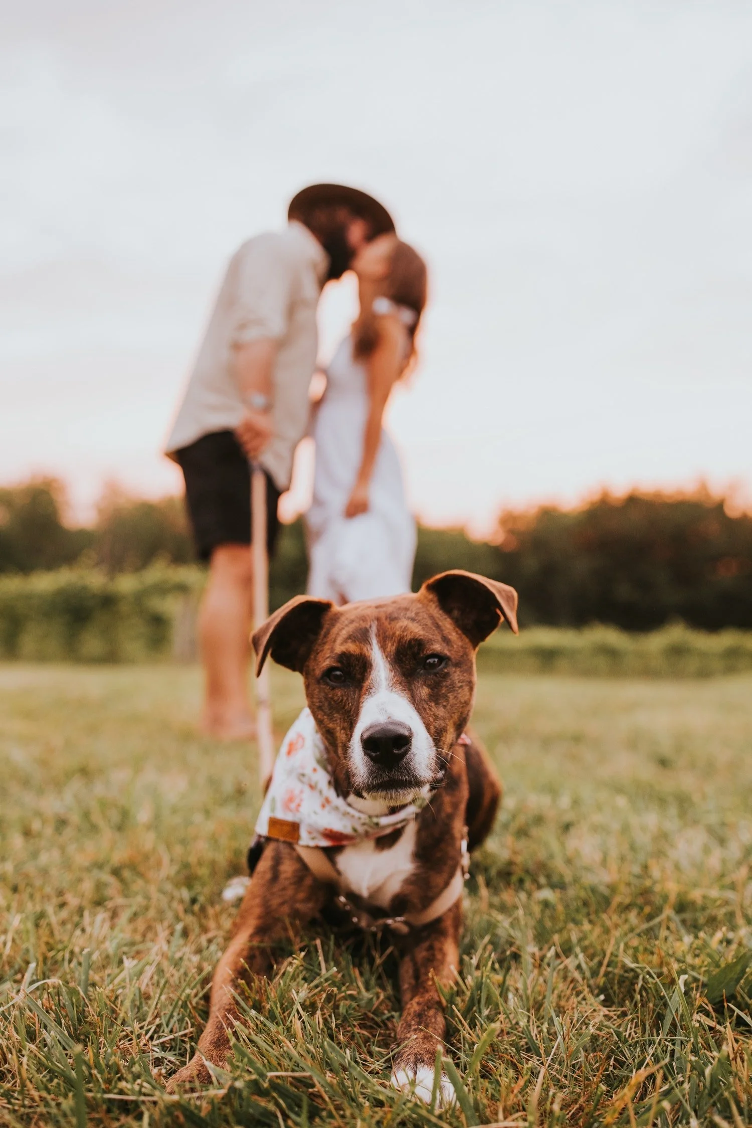 Hudson Valley Wedding Photographer, Stowe Wedding Photographer, Vermont Wedding Photographer, Burlington Wedding Photographer, Shelburne Vineyards, Shelburne Vineyards Engagement Photos