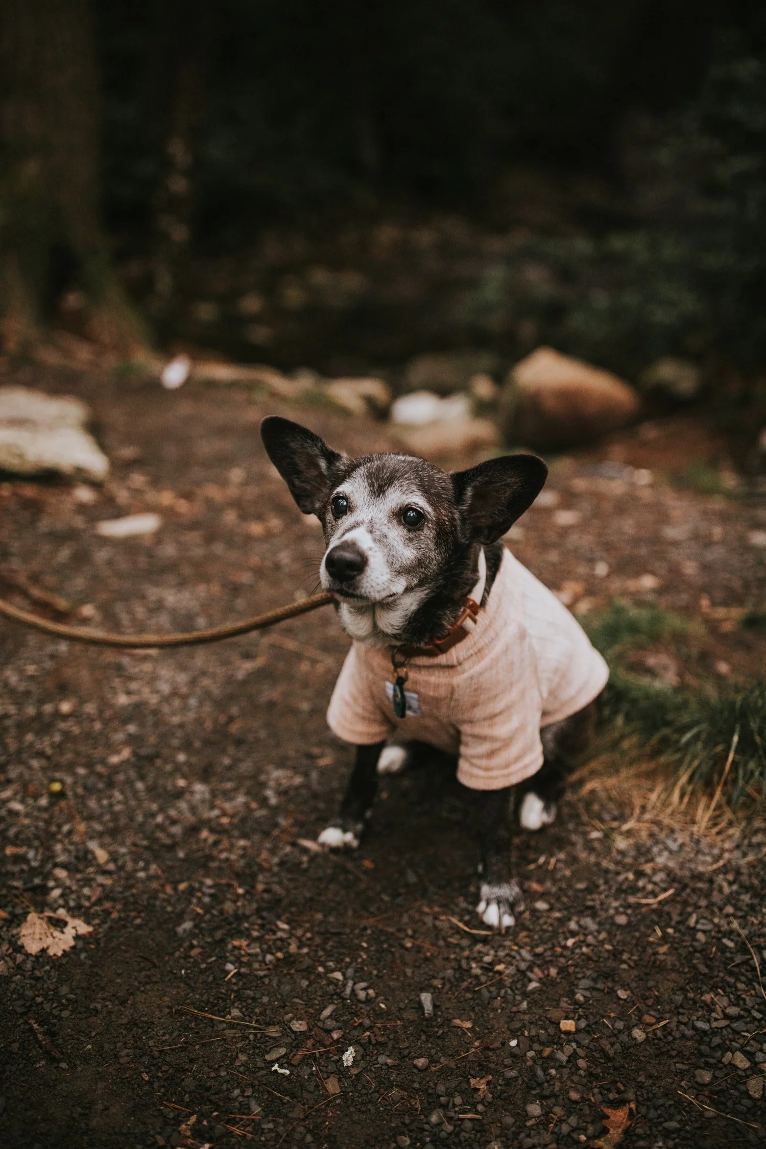 Hudson Valley Wedding Photographer, Hudson Valley Engagement Session, New York Wedding Photographer, New York Engagement Session, Minnewaska State Park