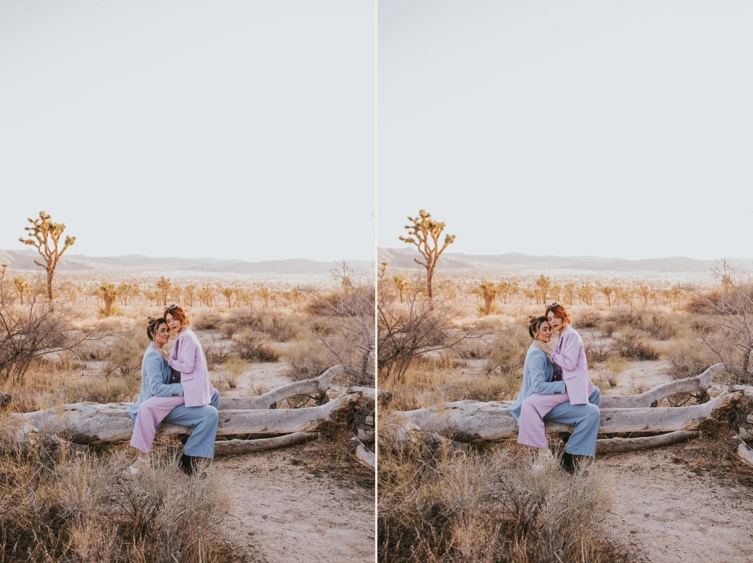 Joshua Tree Wedding Photographer, Joshua Tree Engagement Photos, Hudson Valley Wedding Photographer