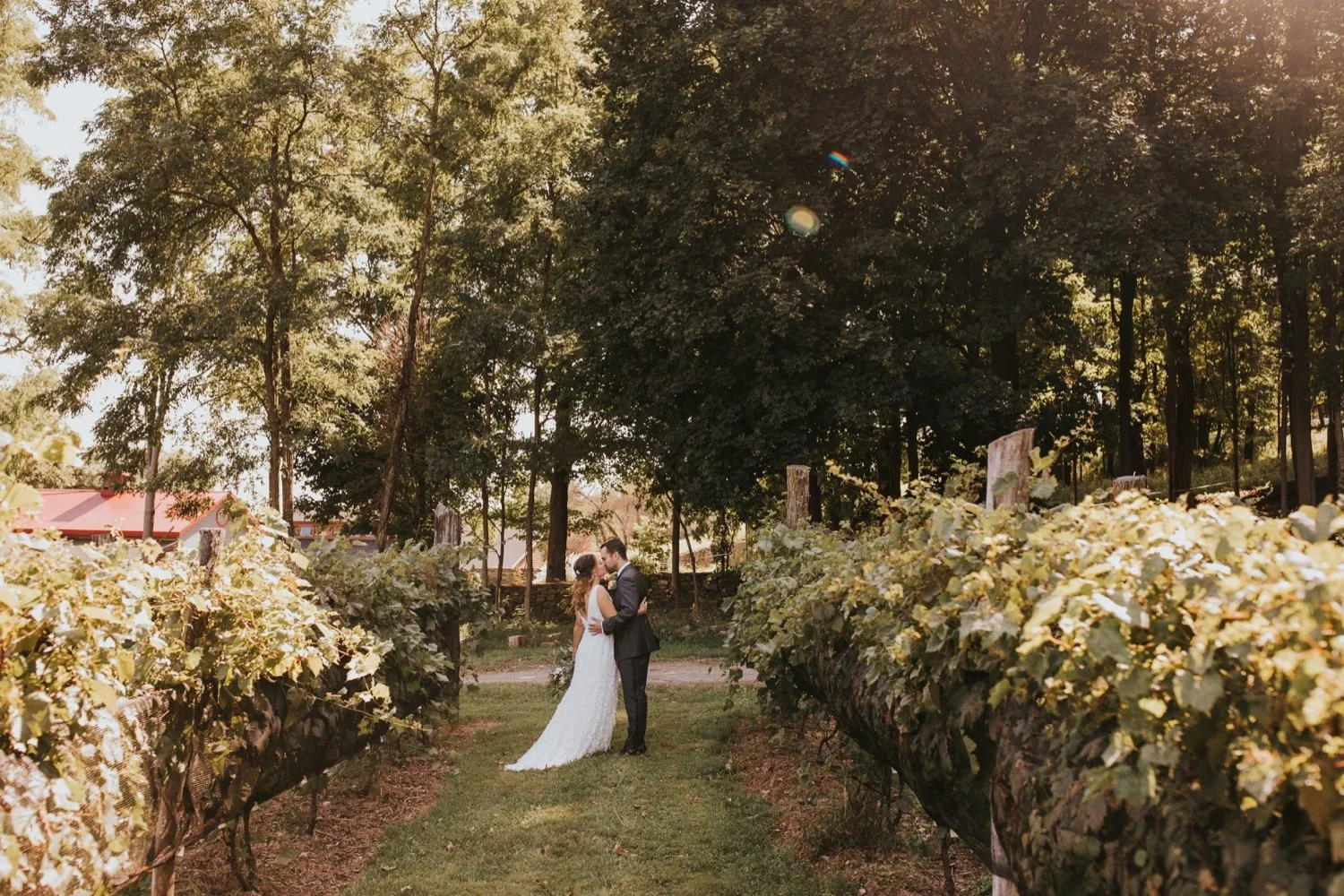 Red Maple Vineyard, Hudson Valley Wedding Photographer, Hudson Valley Wedding, New York Wedding, Red Maple Vineyard