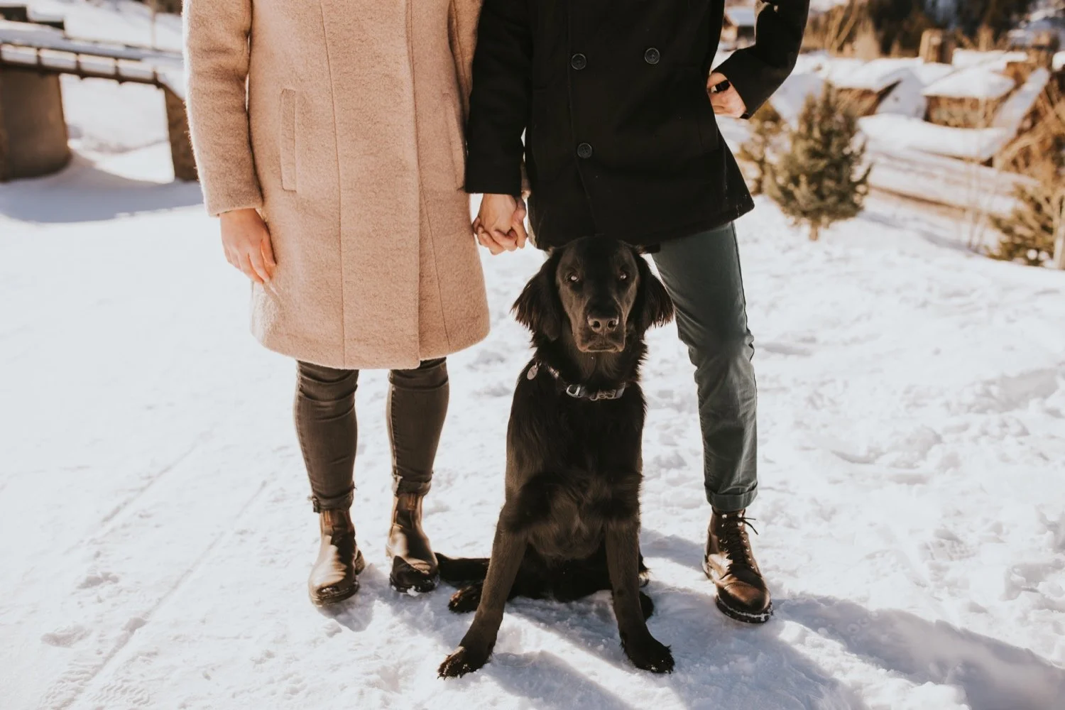 hudson valley wedding photographer, colorado wedding photographer, colorado engagement session, aspen engagement session, colorado wedding, aspen wedding