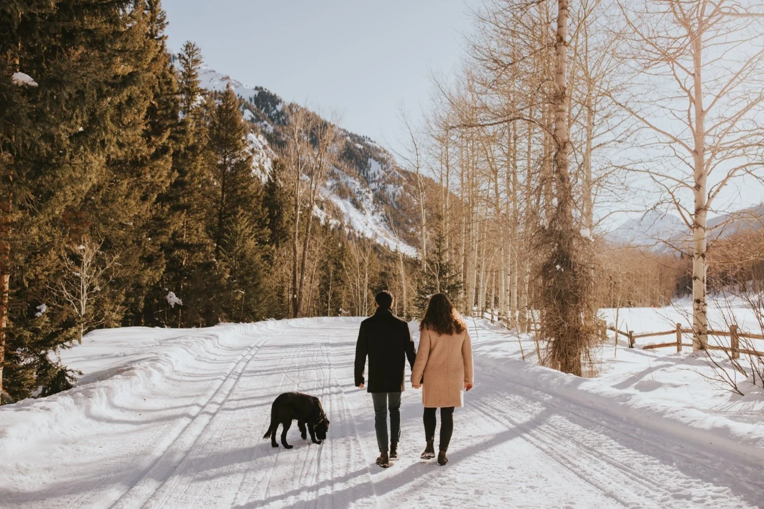 hudson valley wedding photographer, colorado wedding photographer, colorado engagement session, aspen engagement session, colorado wedding, aspen wedding