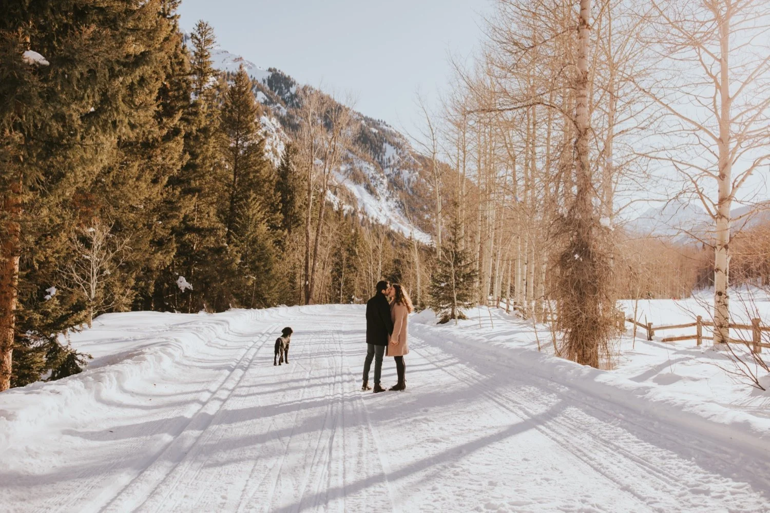 hudson valley wedding photographer, colorado wedding photographer, colorado engagement session, aspen engagement session, colorado wedding, aspen wedding