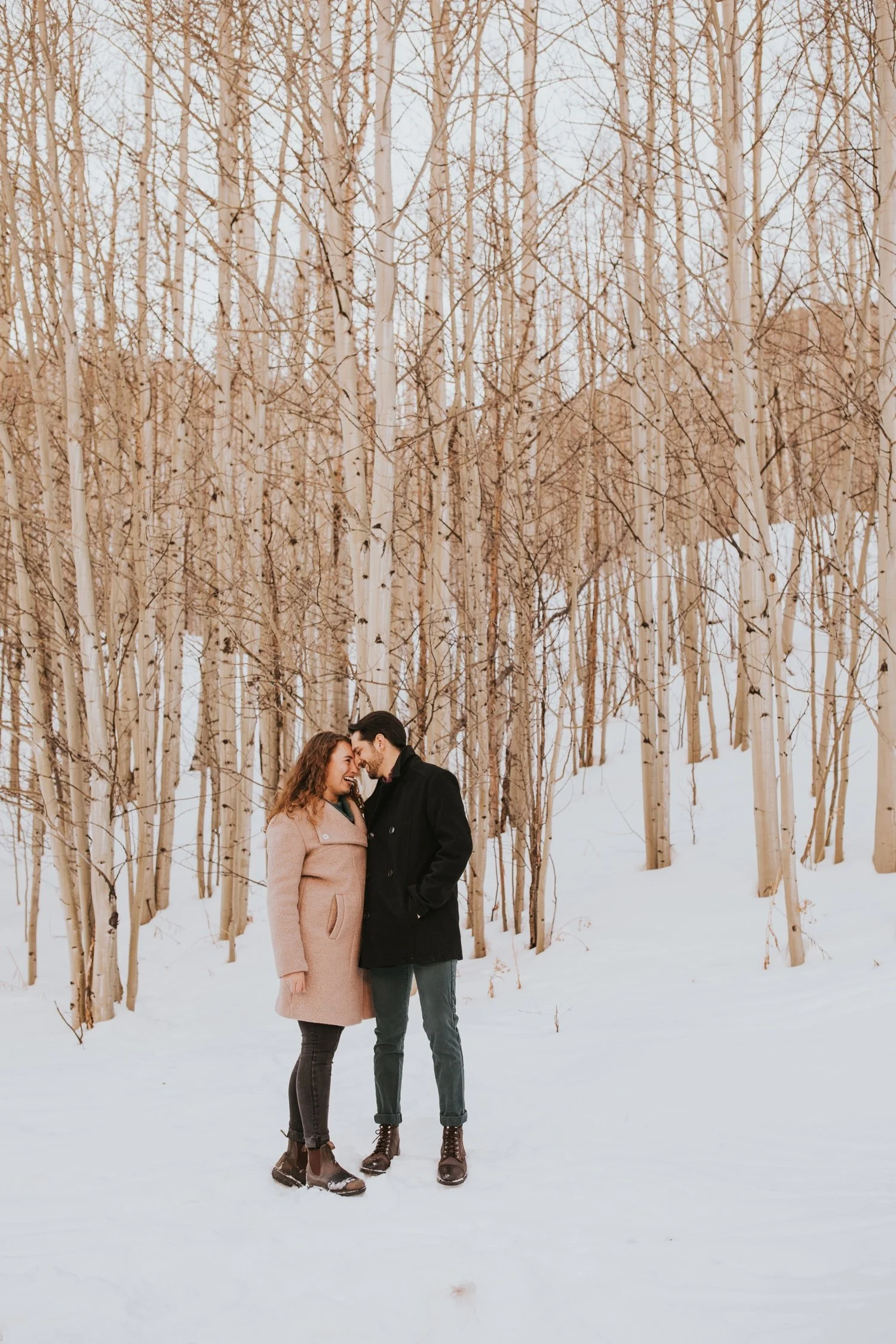 hudson valley wedding photographer, colorado wedding photographer, colorado engagement session, aspen engagement session, colorado wedding, aspen wedding