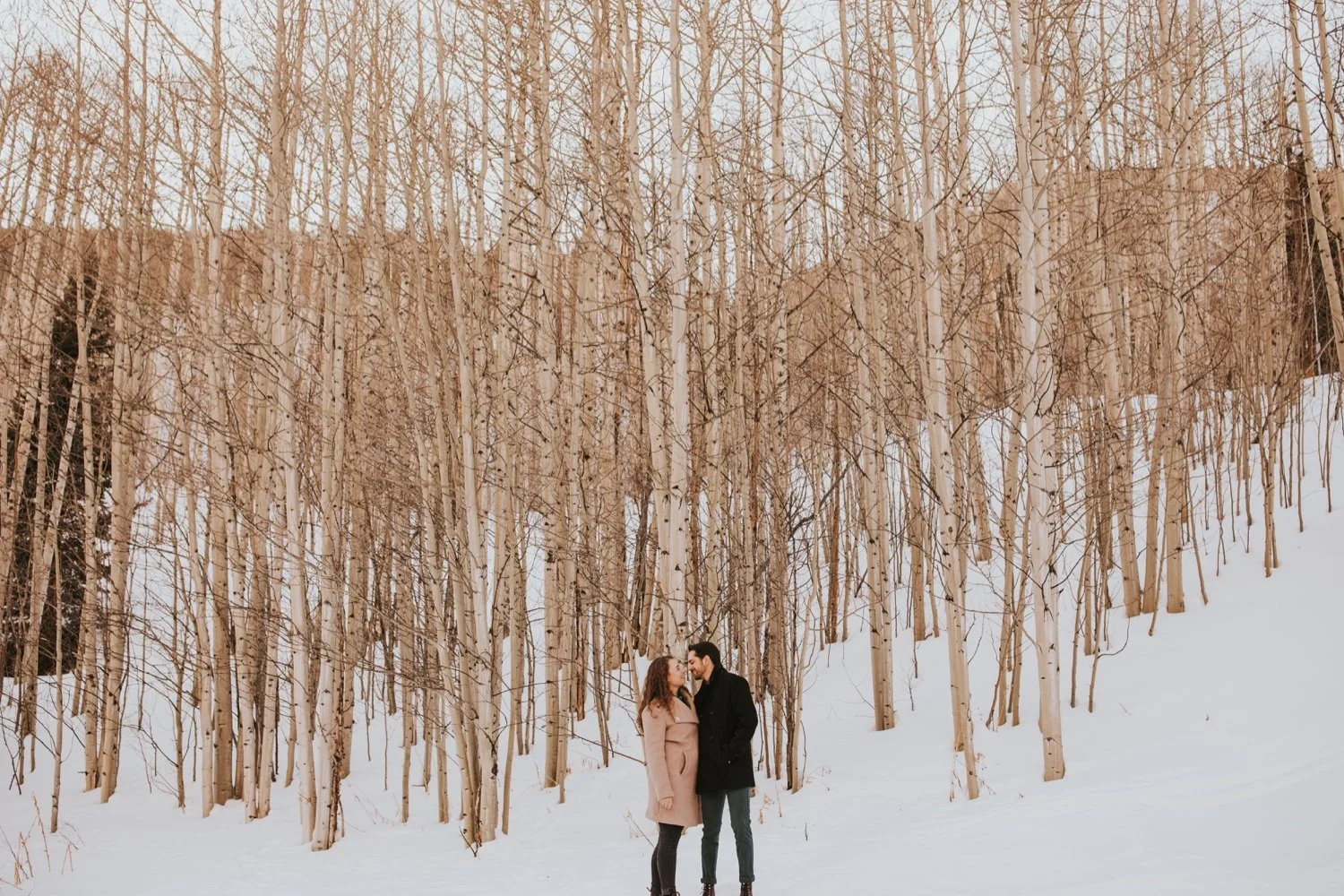 Jamie + Caleb's Engagement Session in Aspen