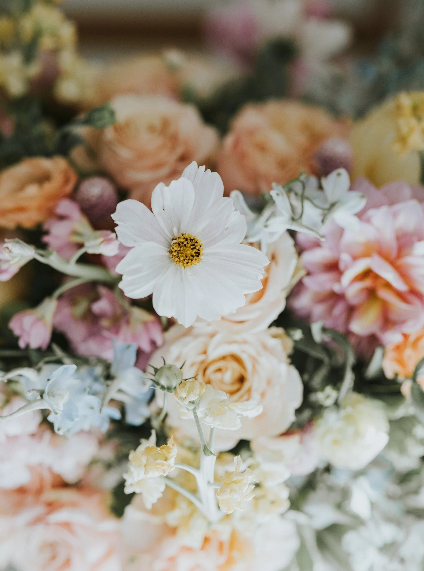Branding session with my girl @alacarte_events this week! 🔥 Go give her new page a follow! @theflowercarte_ct 💐