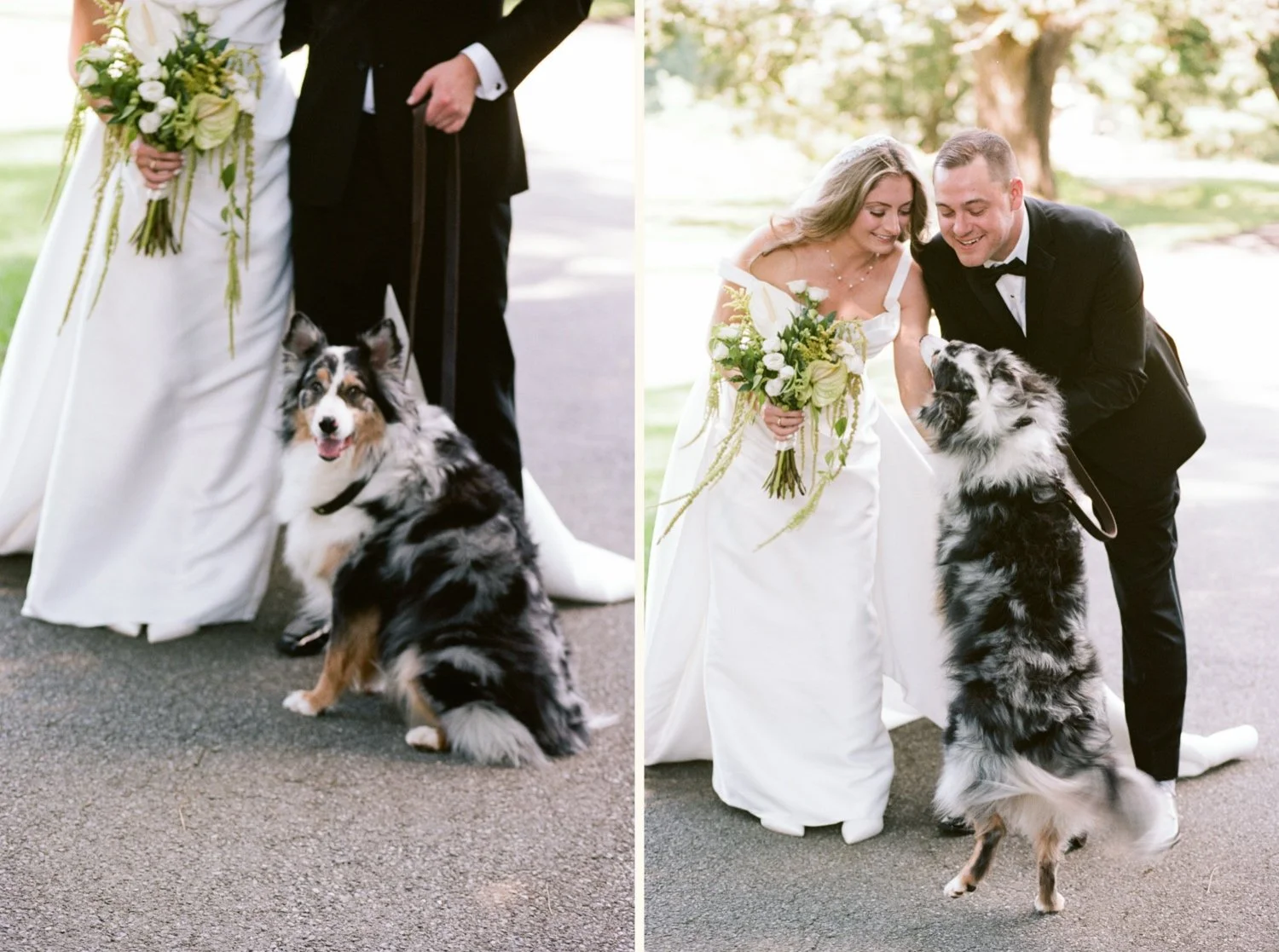 Hudson Valley Wedding Photographer, Red Maple Vineyard Wedding, Red Maple Vineyard, Hudson Valley Film Photographer, NYC Wedding Photographer