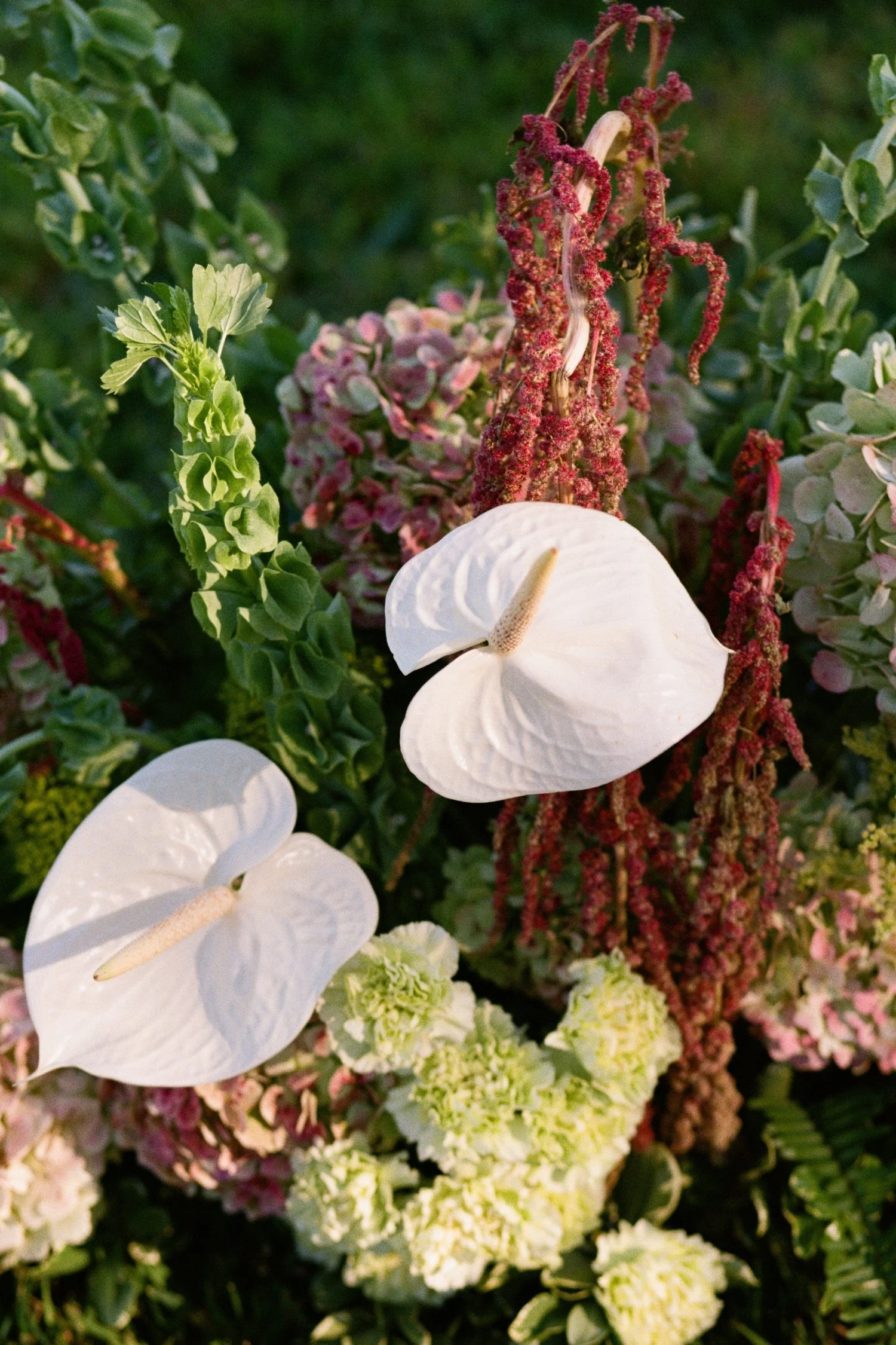 Hudson Valley Wedding Photographer, Red Maple Vineyard Wedding, Red Maple Vineyard, Hudson Valley Film Photographer, NYC Wedding Photographer