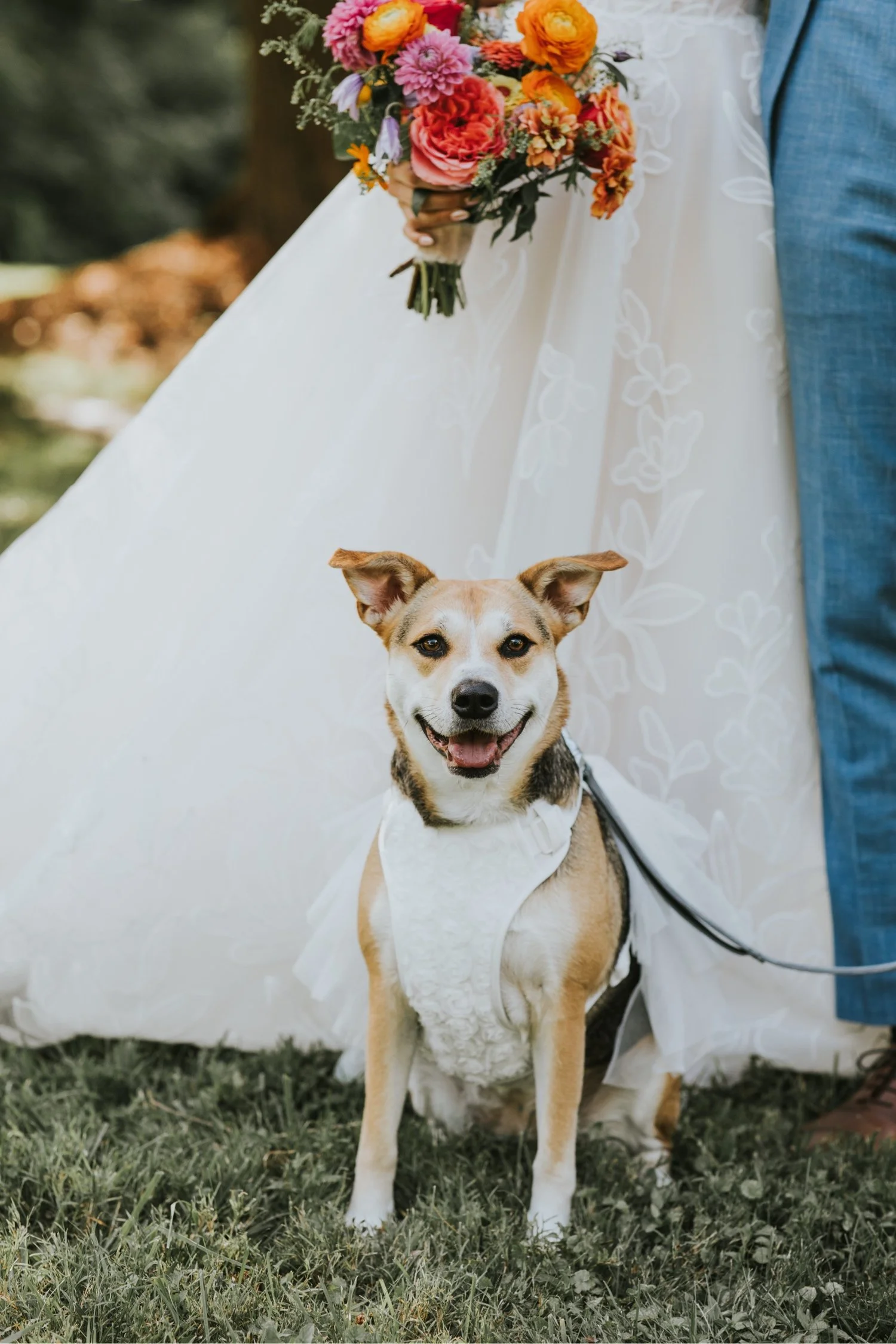 Hudson Valley Wedding Photographer, Buttermilk Falls Inn and Spa, Buttermilk Falls Wedding, Hudson Valley Film Photographer, NYC Wedding Photographer