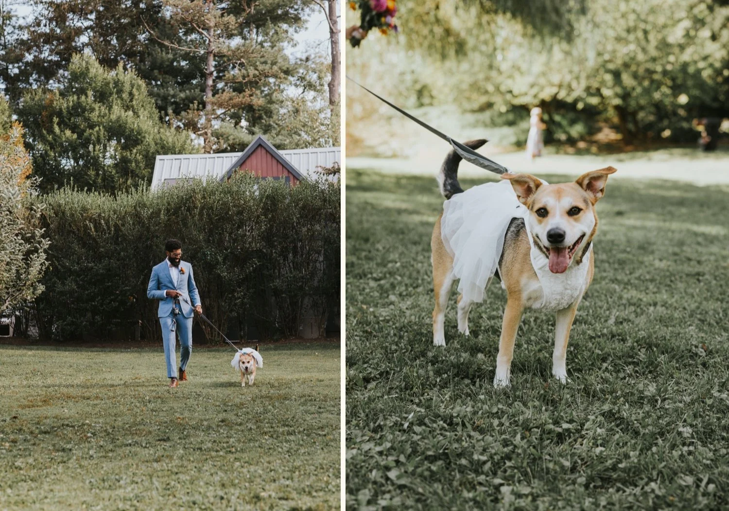 Hudson Valley Wedding Photographer, Buttermilk Falls Inn and Spa, Buttermilk Falls Wedding, Hudson Valley Film Photographer, NYC Wedding Photographer