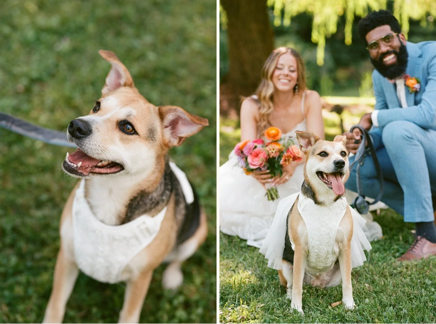 Hudson Valley Wedding Photographer, Buttermilk Falls Inn and Spa, Buttermilk Falls Wedding, Hudson Valley Film Photographer, NYC Wedding Photographer
