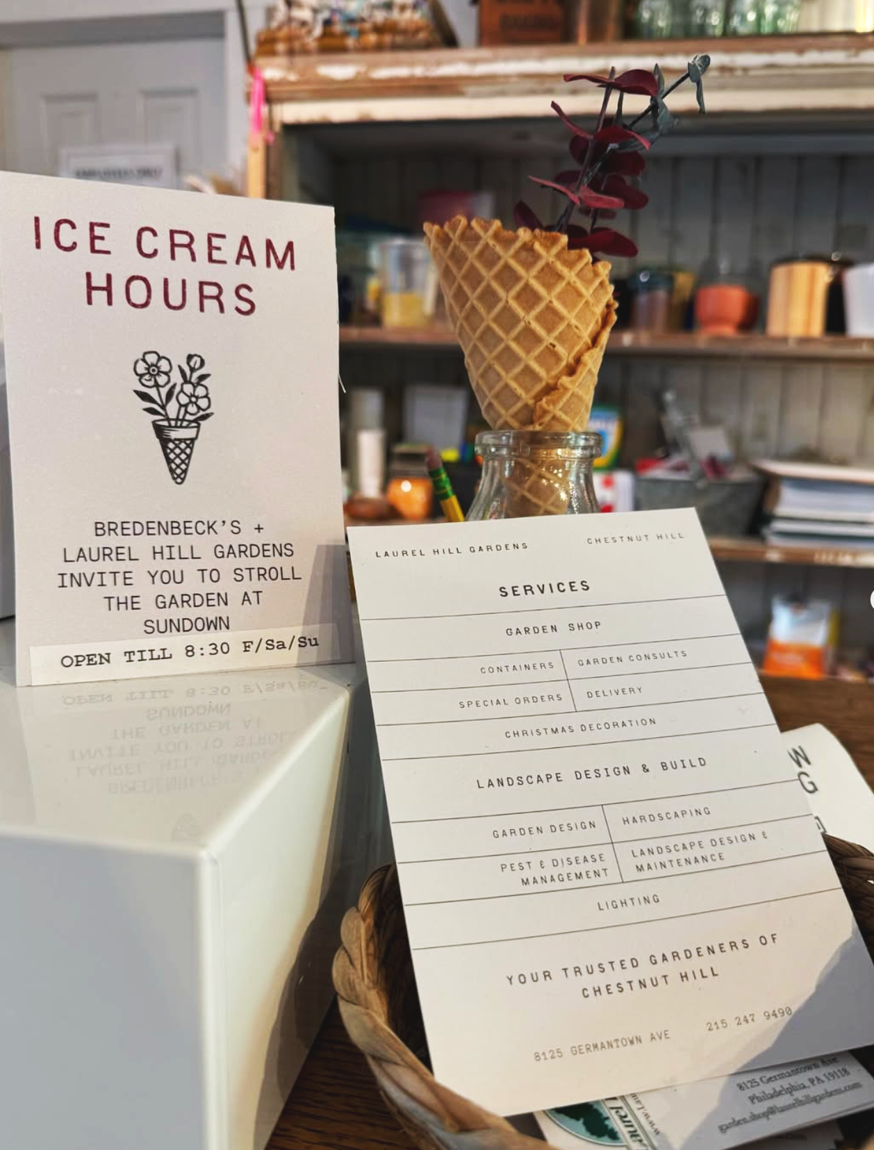 A cone with a plant inside it, placed in a glass jar, along with a sign about ice cream hours and a menu for a garden shop, set on a wooden surface with shelves in the background.