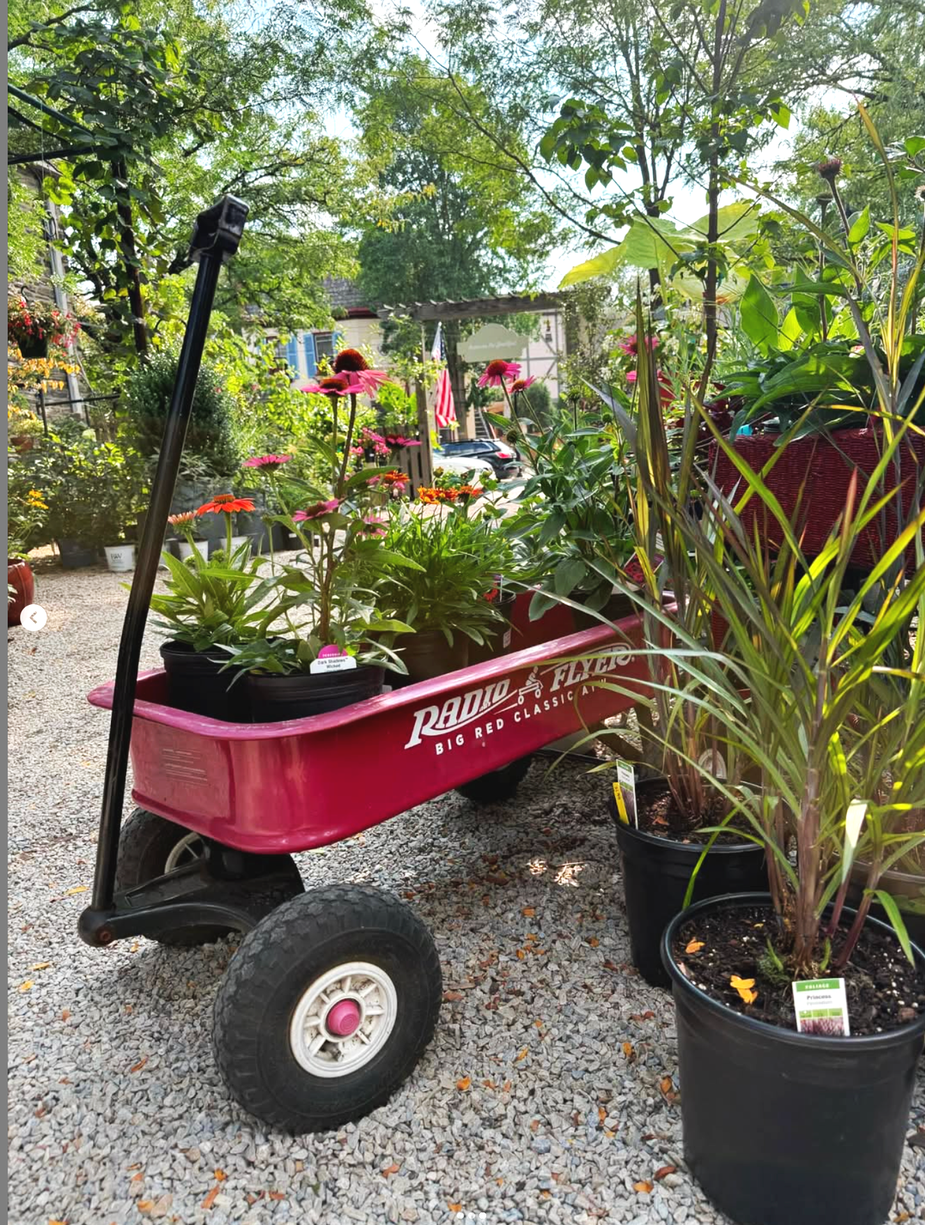 A pink Radio Flyer wagon filled with potted flowering plants is outside on a gravel surface at a plant nursery, with more plants and trees in the background.