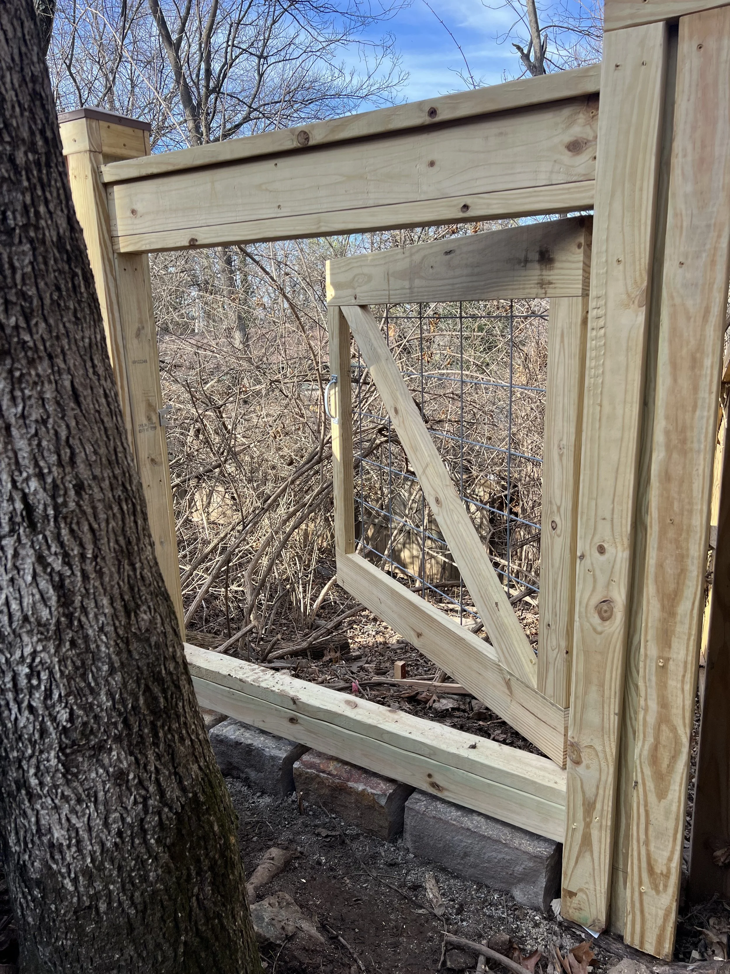 Custom pressure-treated pine gate with wire infill beside a mature tree on Mount Sequoyah