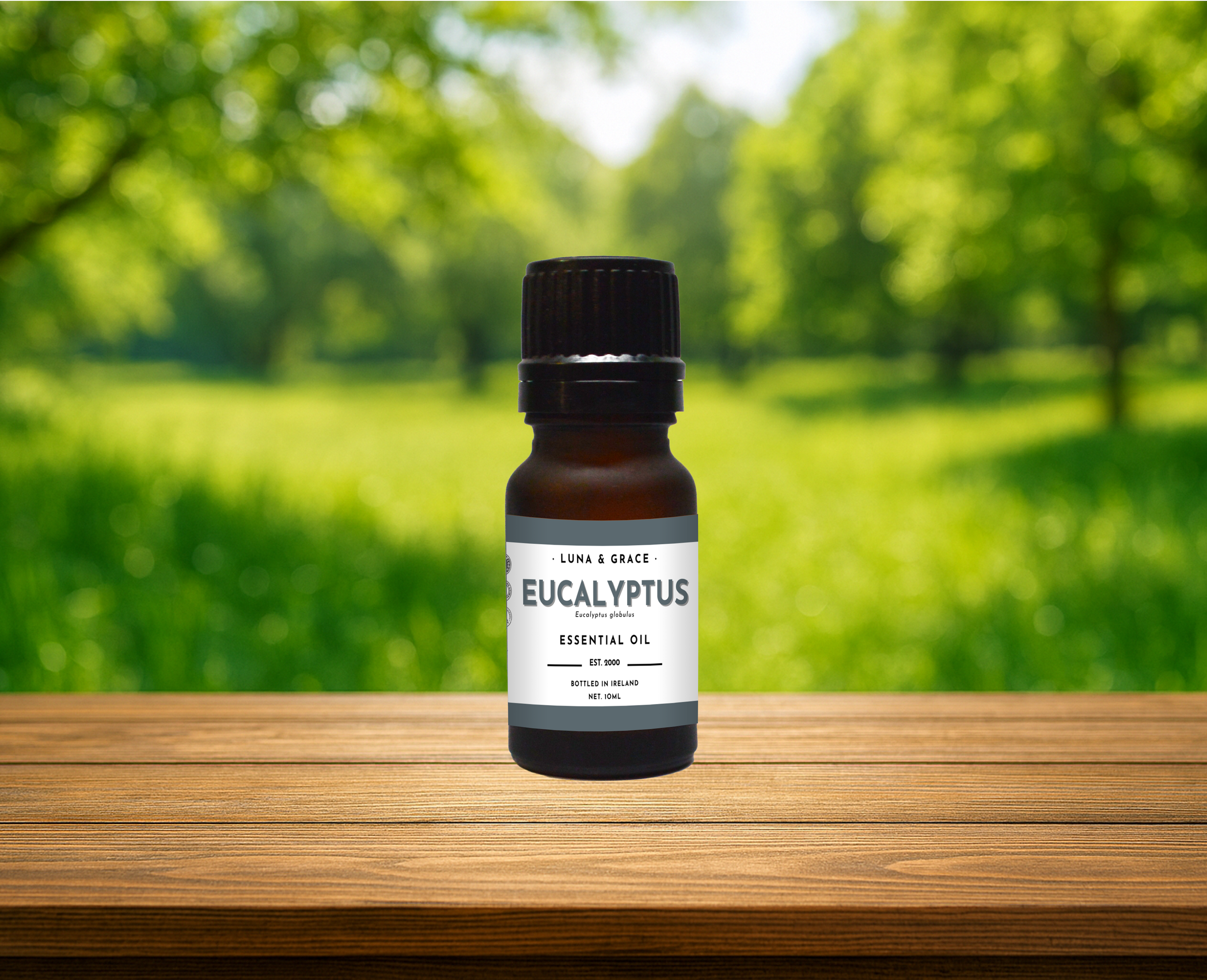 EUCALYPTUS.png