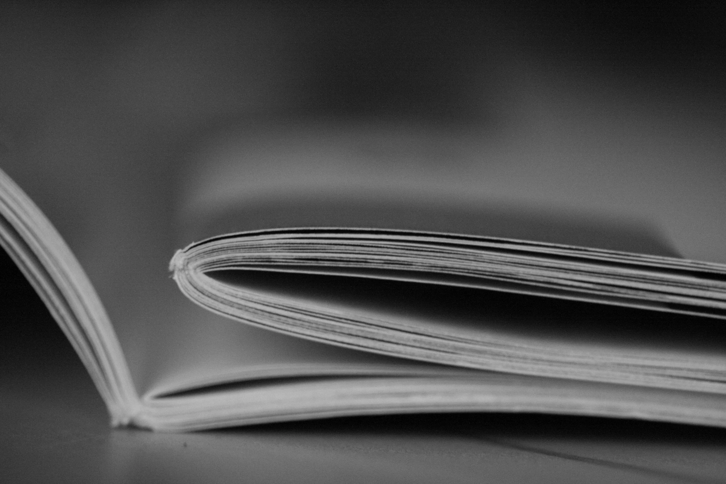 Close-up black and white photograph of an open book, focusing on the curved pages.