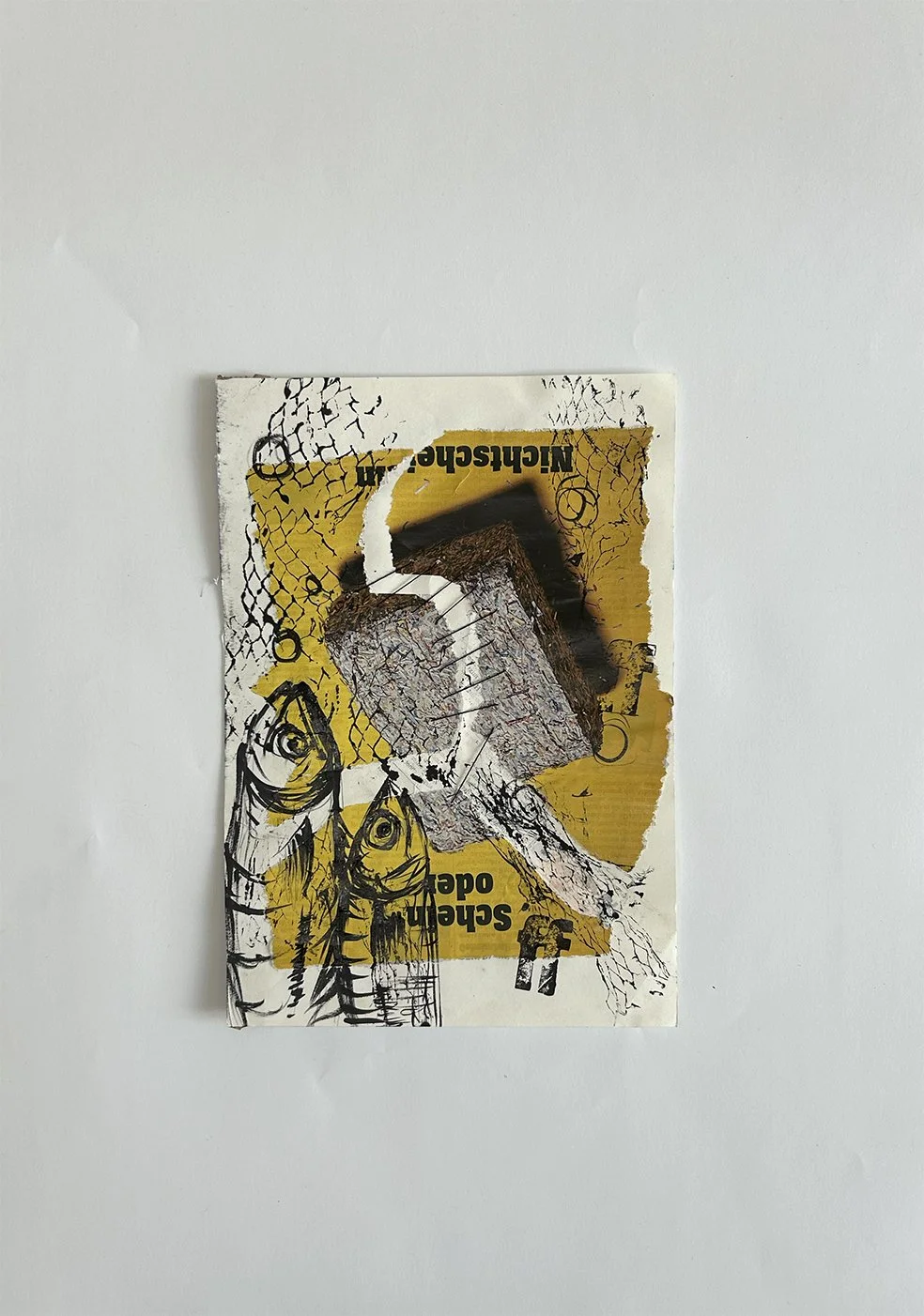 1. Collage .jpg