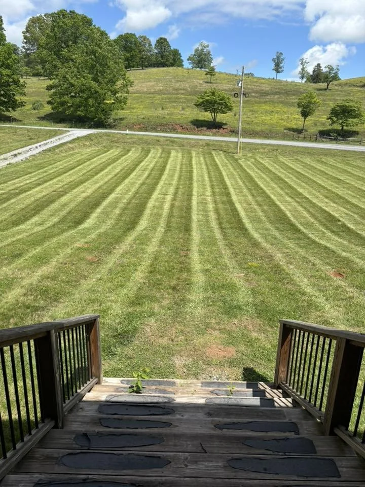  Probably offering lawn maintenance services. Mowing, weed eating, brush removal, tree trimming, and any other maintenance that your property might need.