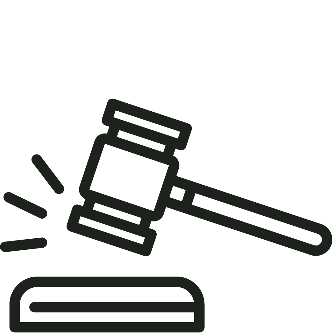 Court Testimony & Litigation Support icon