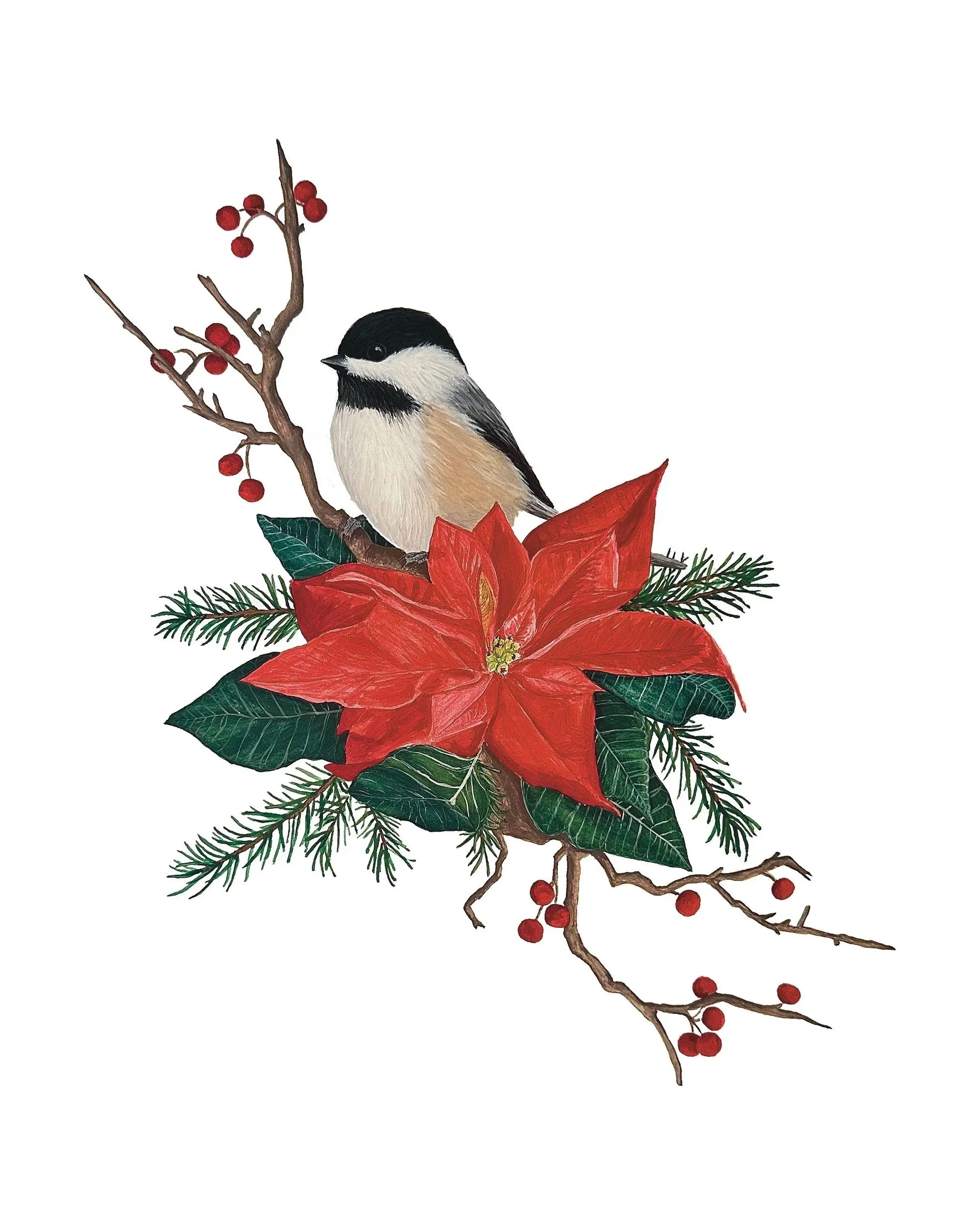 Collins_Holiday_1.jpg