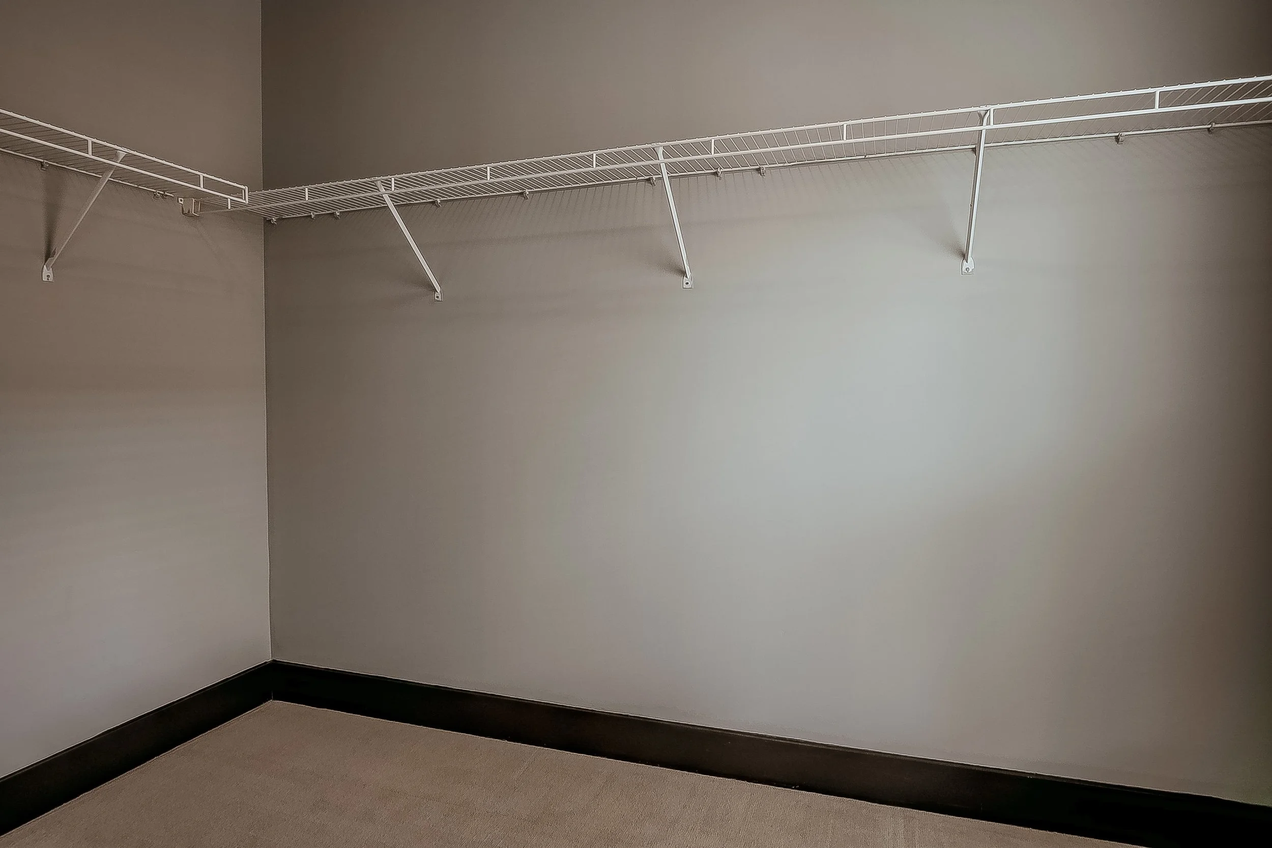 Empty walk-in closet with white wire shelf and rod for hanging clothes, beige carpeted floor, gray walls, and dark baseboard.