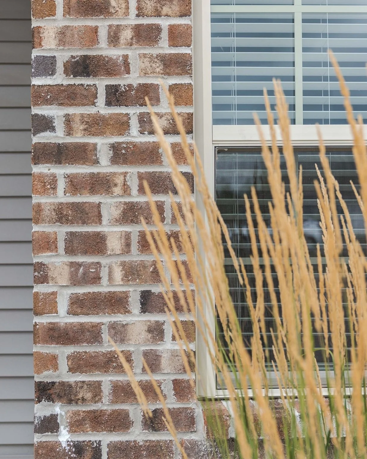 Close-up of a brick wall with a window and curtains in the background, and dry ornamental grass in the foreground.
