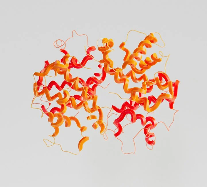 Orange and Red Wires suspended in air, made to resemble a brain