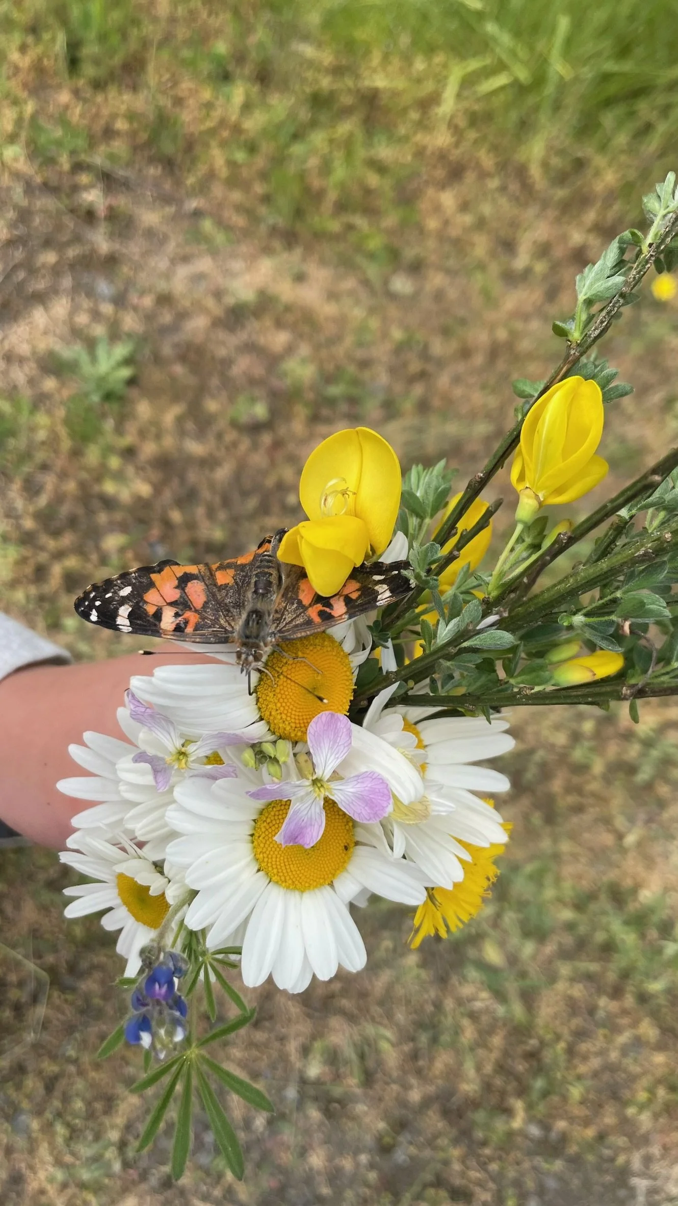 FullSizeRender (1).jpeg