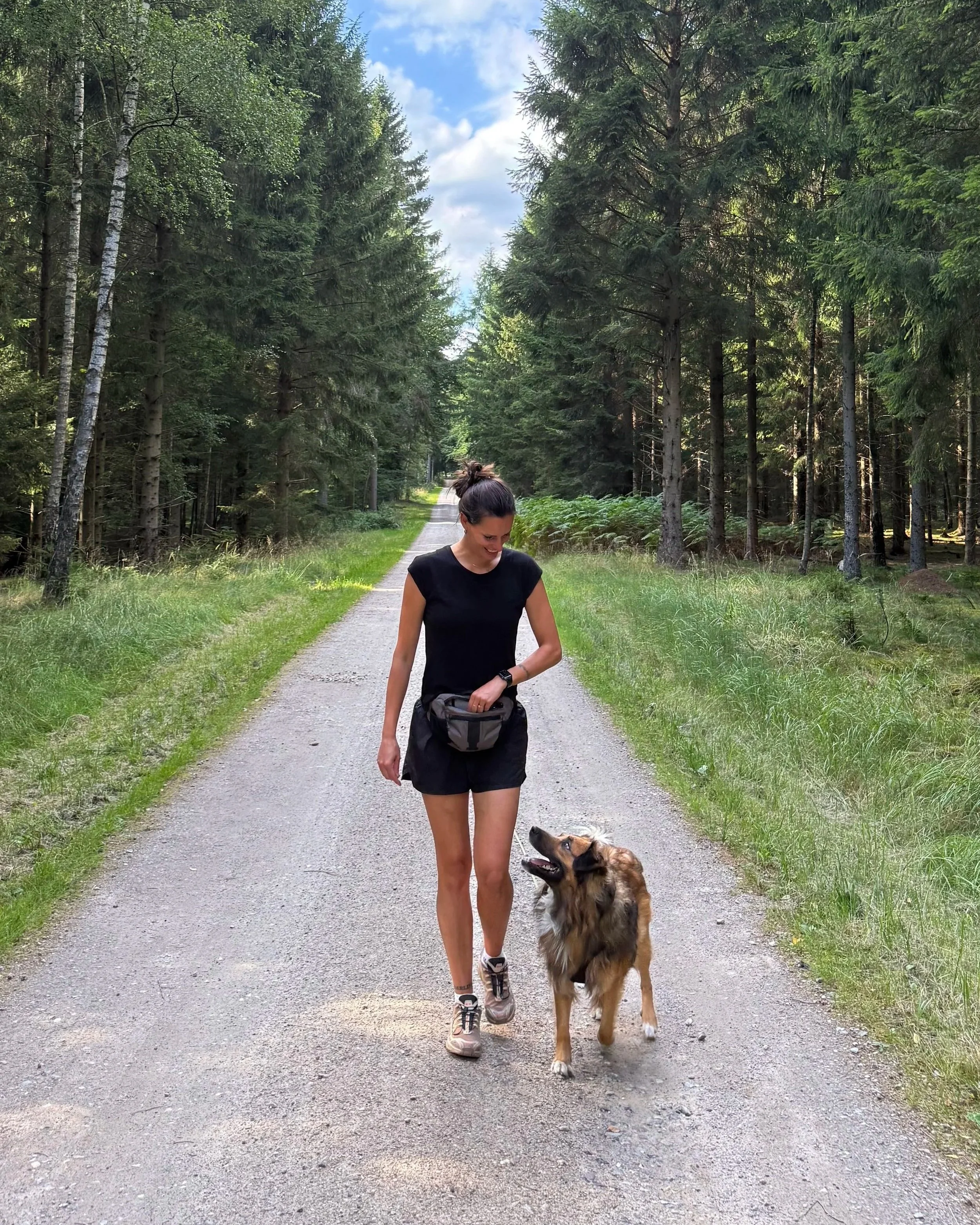 Kvinde går med en hund på en skovsti. Kvinden har mørkt hår i en knold og bærer sort t-shirt, shorts, og en lille taske. Hund, der ser op til hende, er langhåret, med brune og sorte farver. Området er omgivet af høje grantræer, og himlen er delvist overskyet.