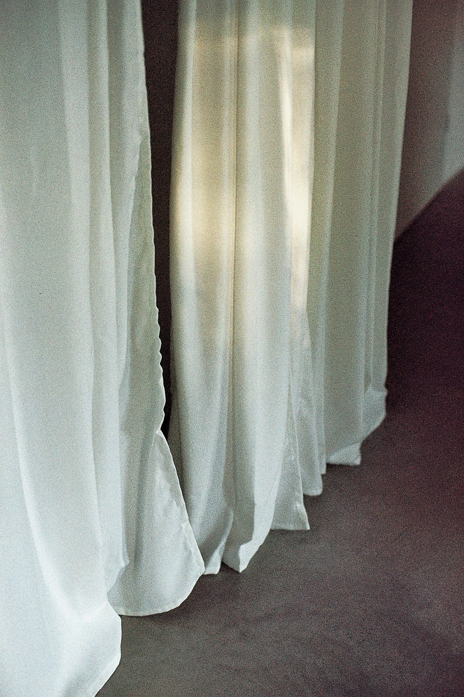 _Bild019_Neg.Nr.N19.jpg