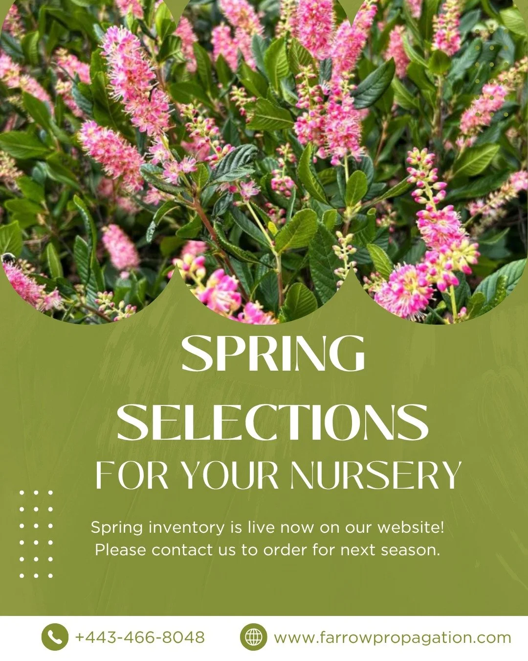 We&rsquo;re already looking ahead to spring! 🌿 Our updated availability is now posted on farrowpropagation.com &mdash; get your orders in early to reserve material and keep your production on track for the season ahead. Website link in bio.