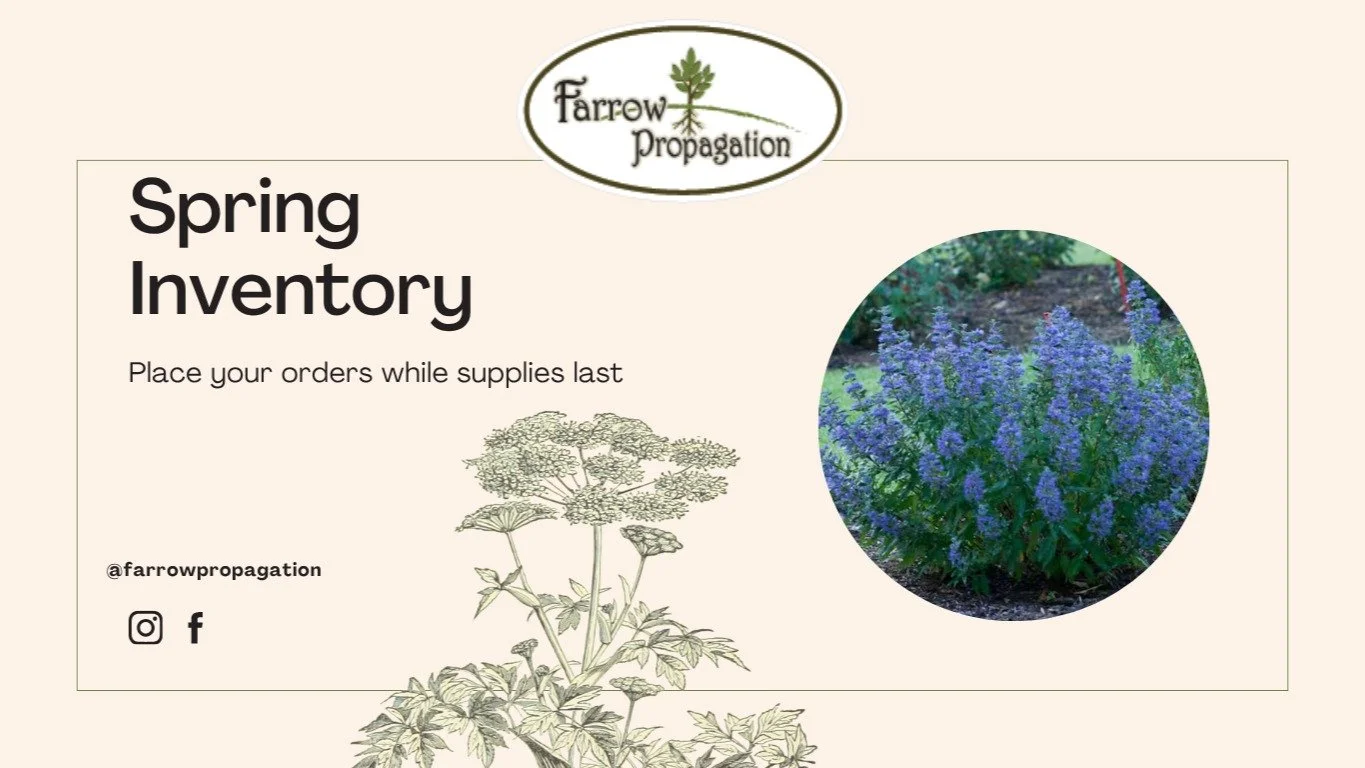 Our inventory is getting a refresh! 🌿 Check farrowpropagation.com
 this week for updated availability and plan your orders ahead of the busy season.