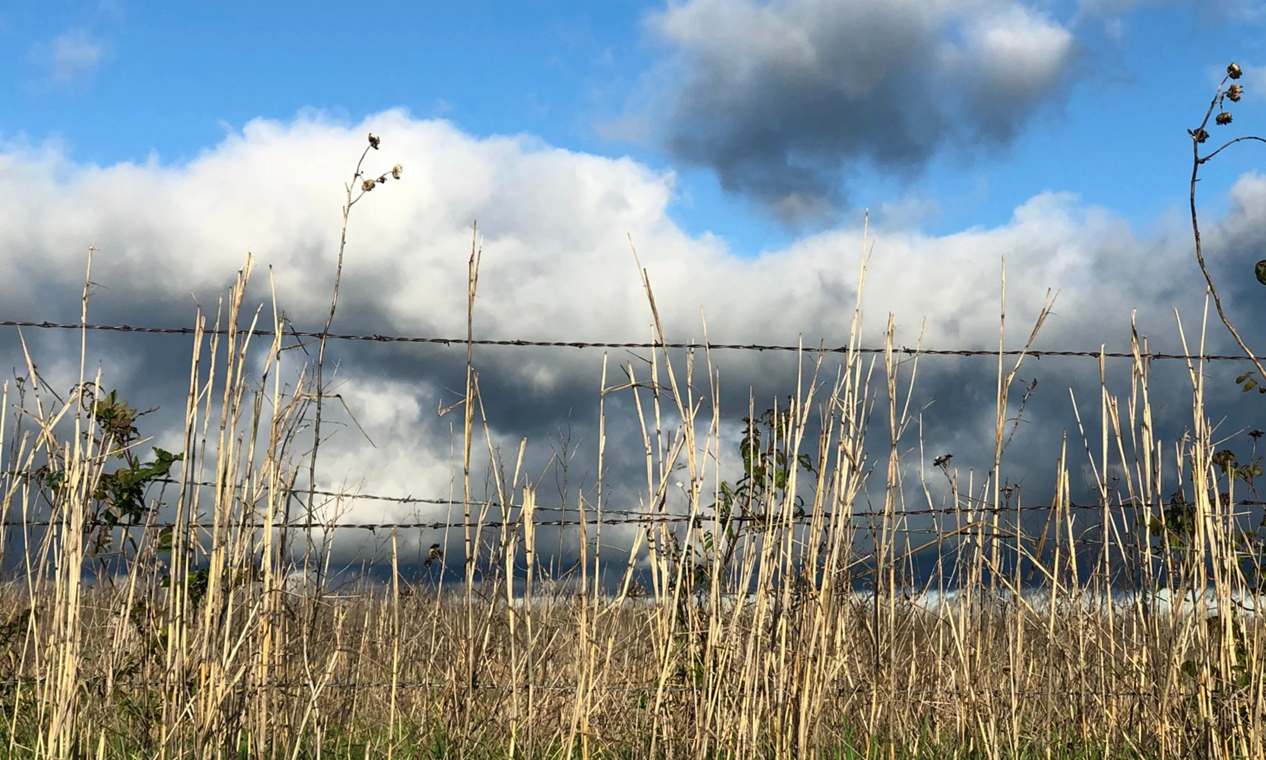 Cedar-Valley-2500x1500-BANNER-37-web.jpg