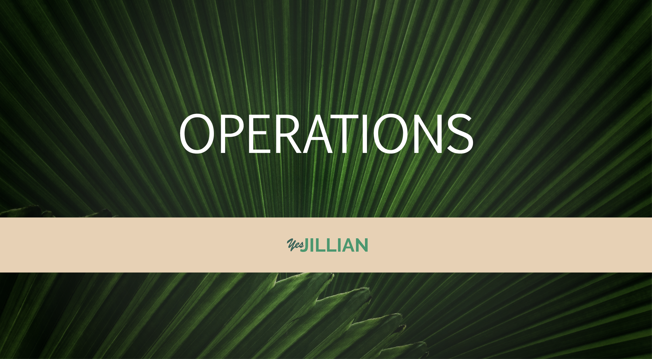 SEO Paved My Path to MarOps