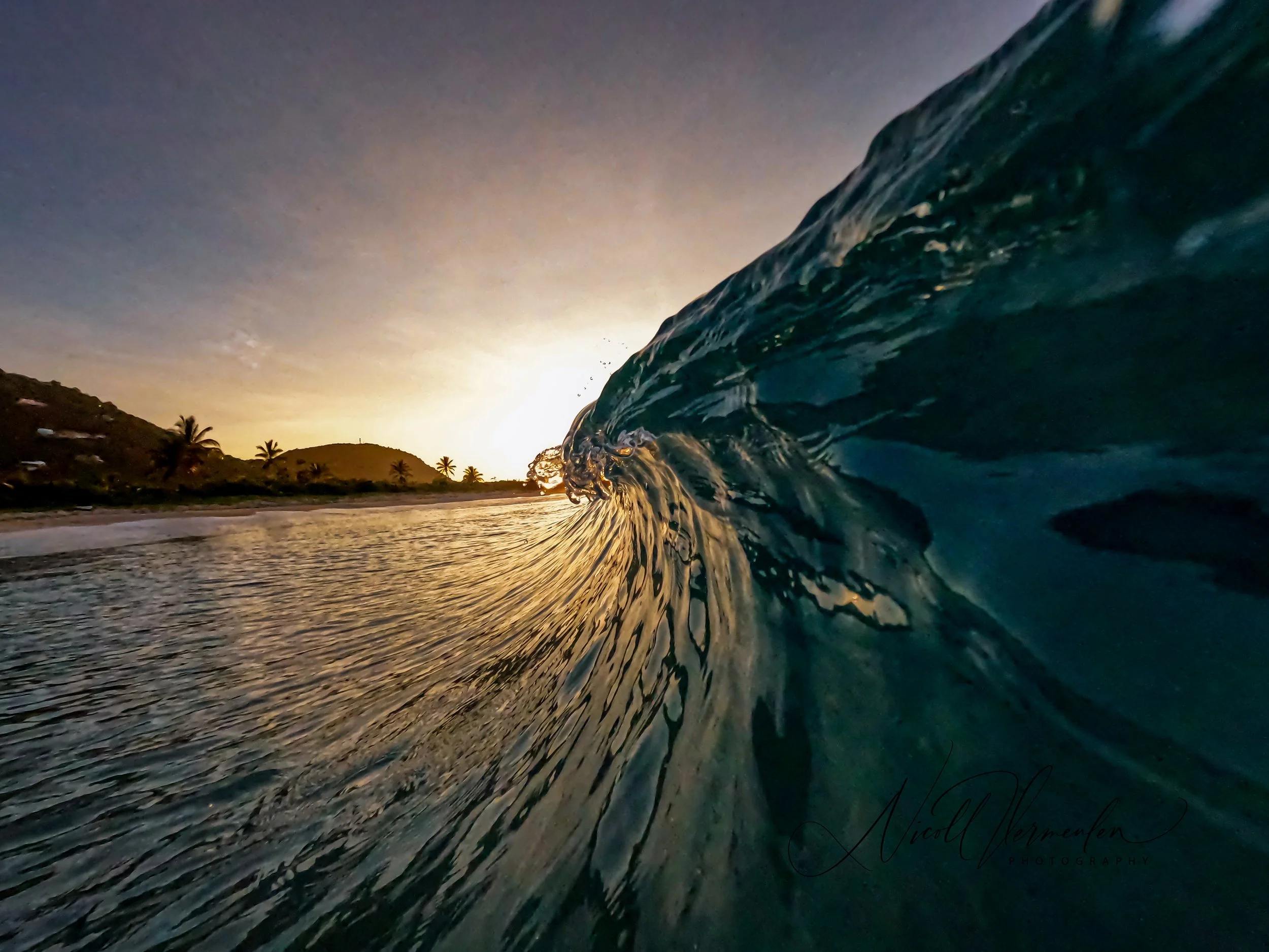 Golden Tainted Wave Crest