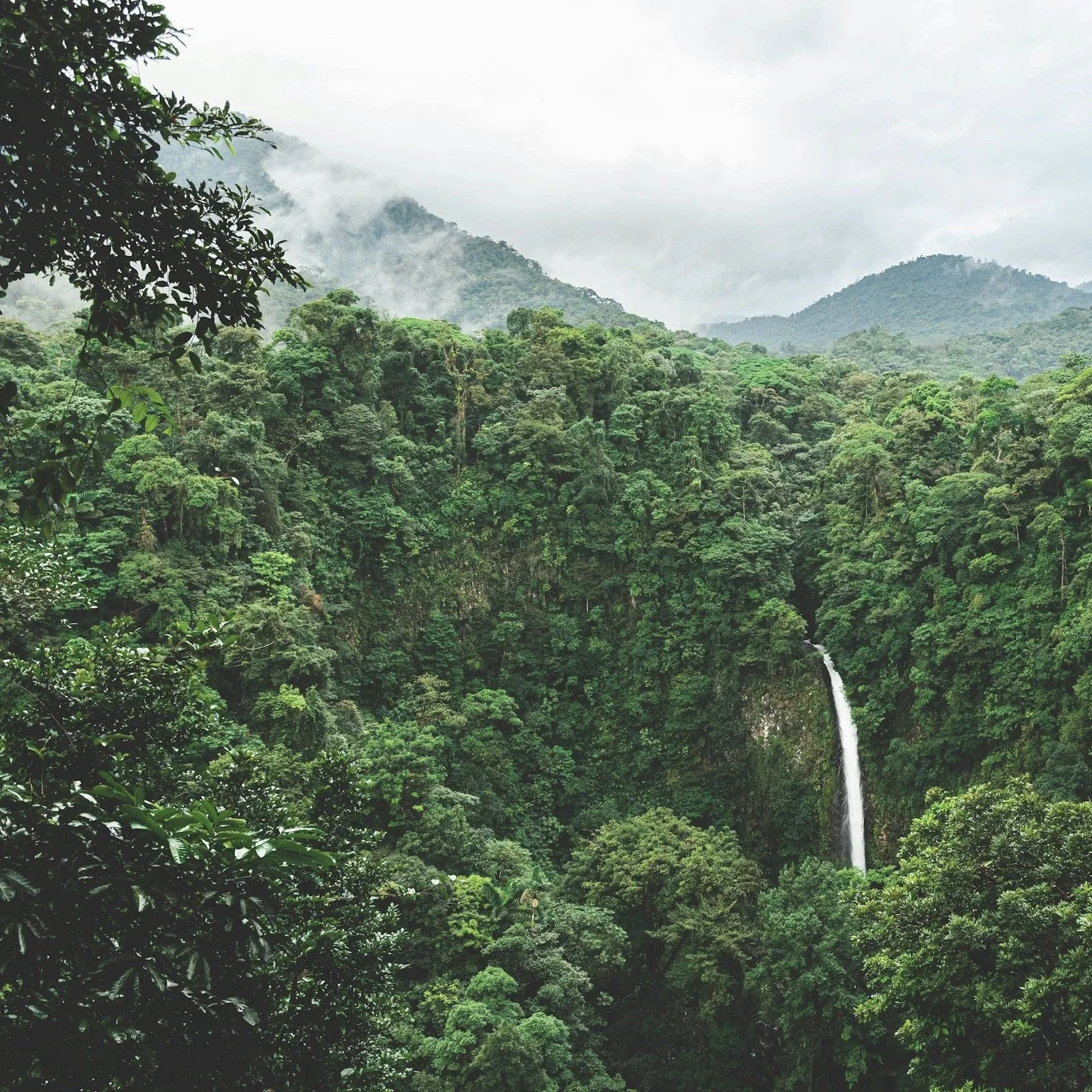 Casting Call Statement