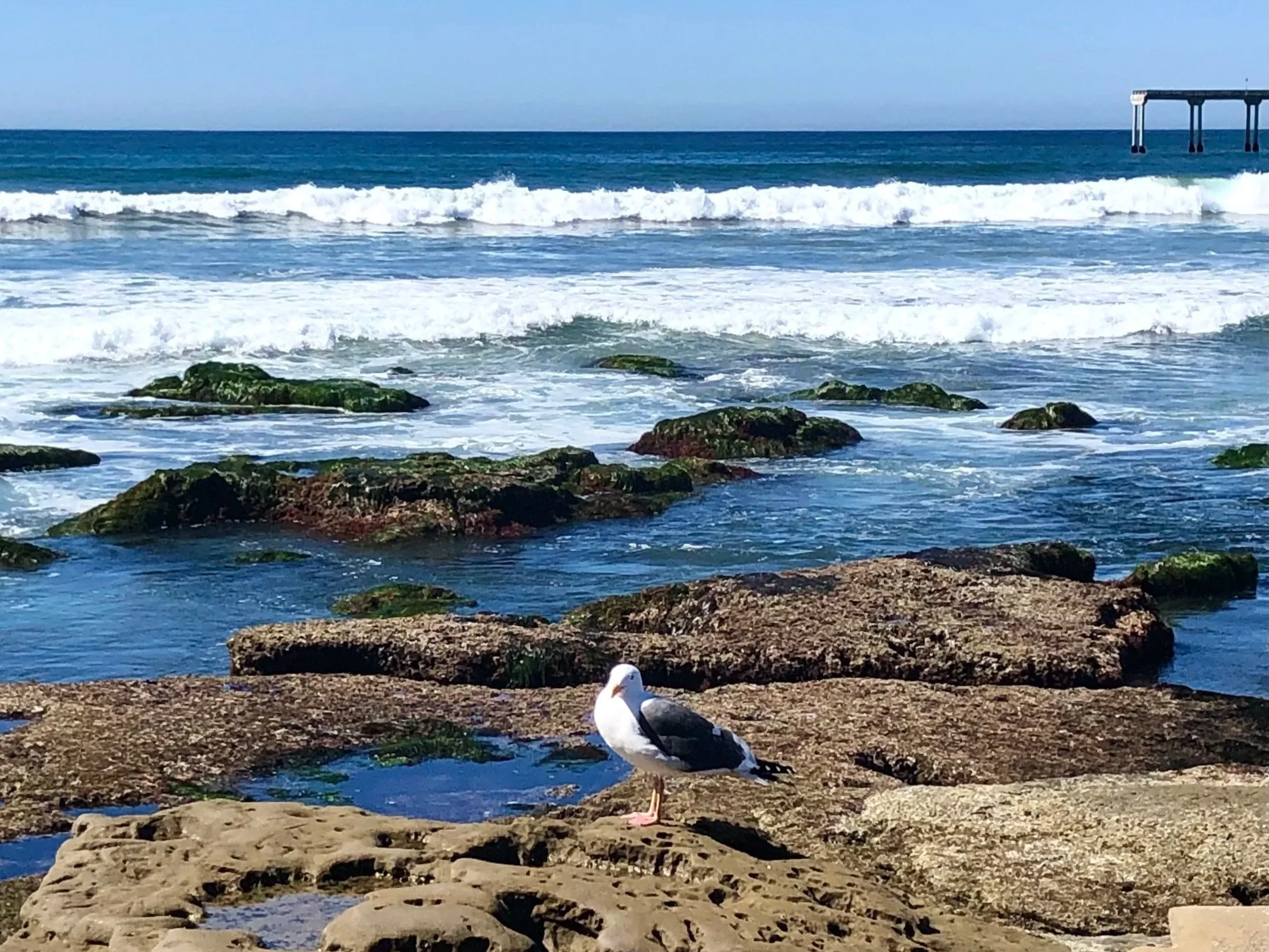 how to find inner peace in a chaotic world