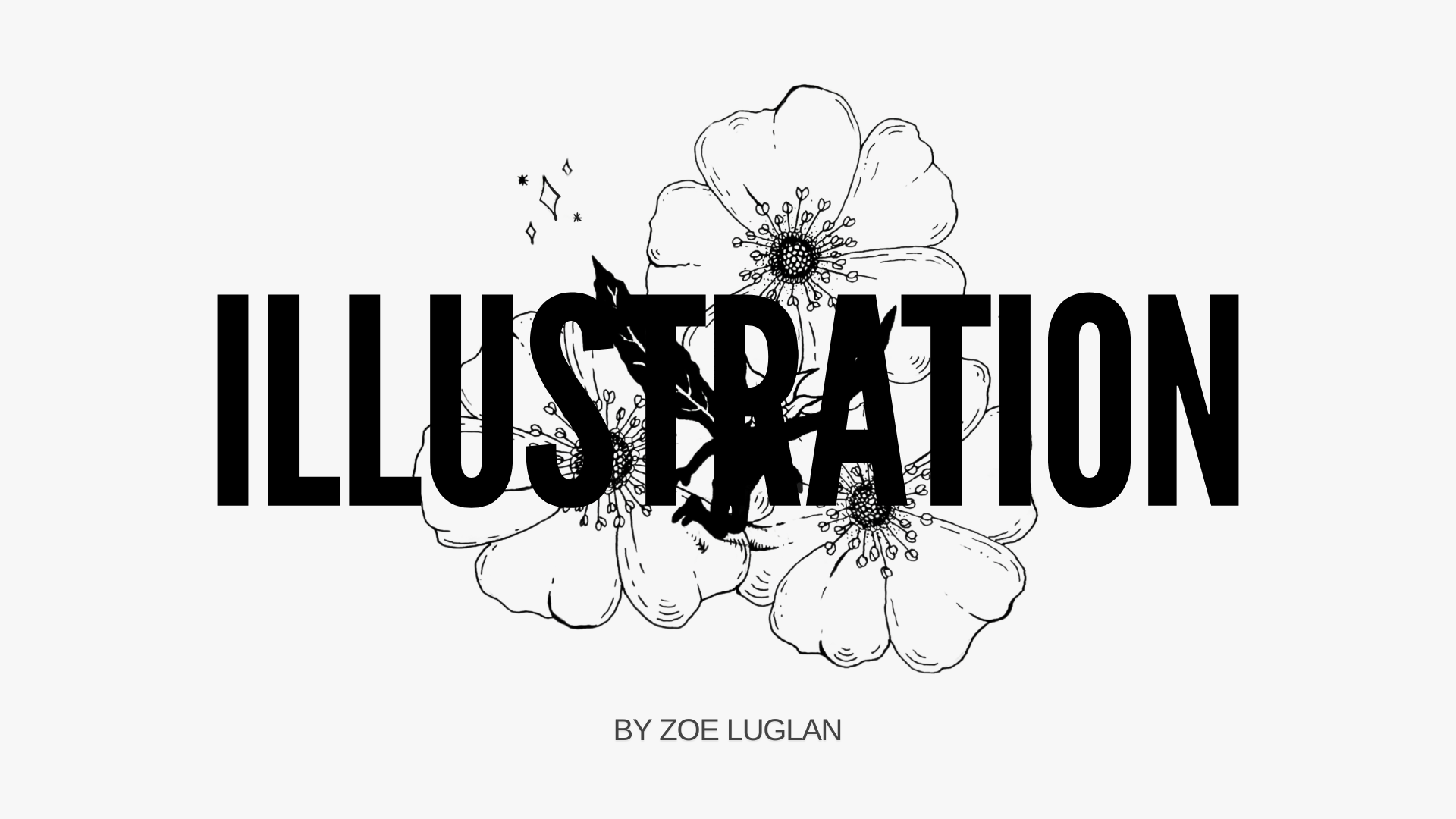 Illustration Portfolio