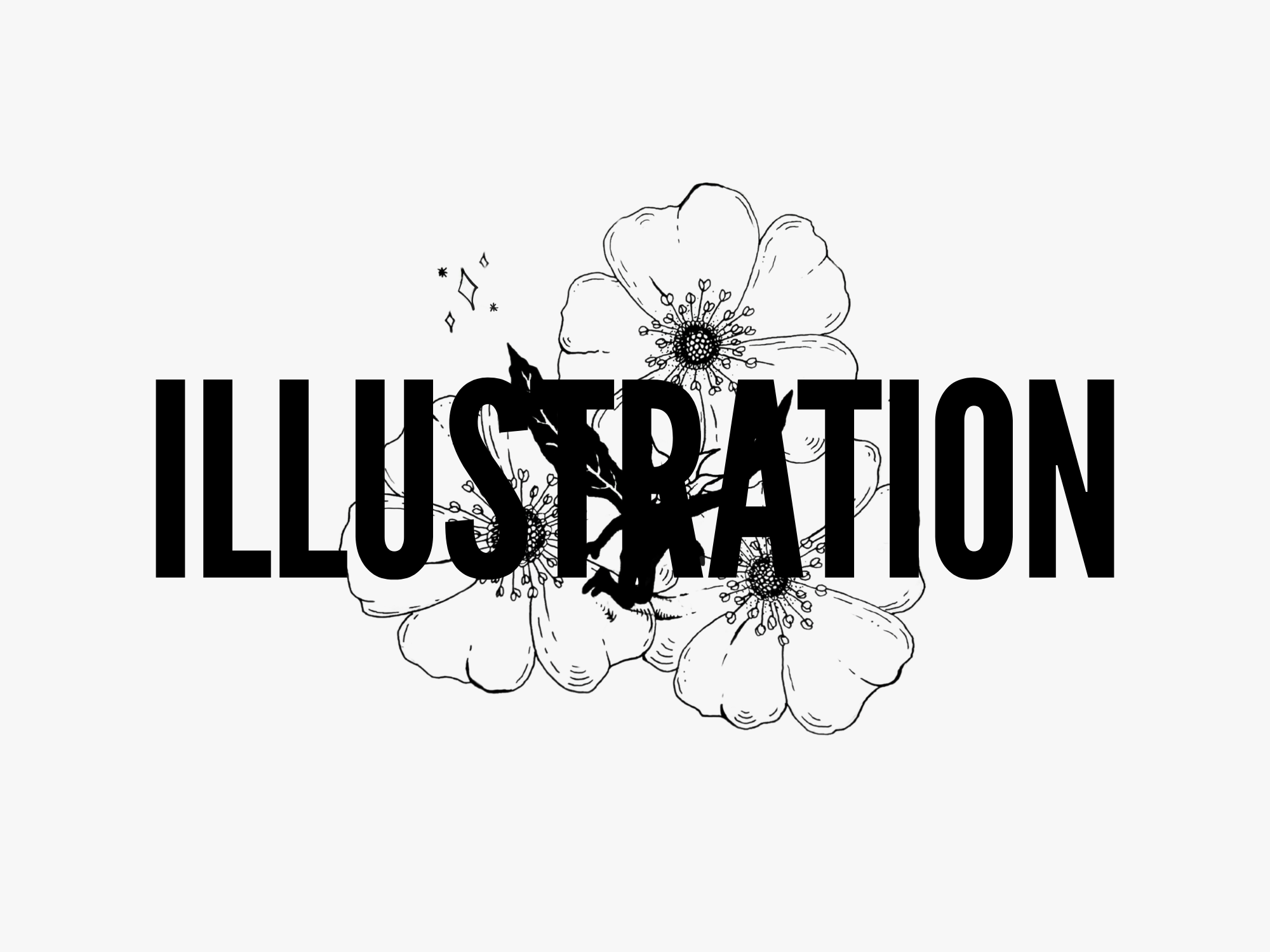 Illustration | Ink Drawing | Creative Process