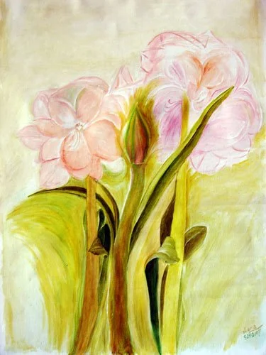 Seedlings.jpg