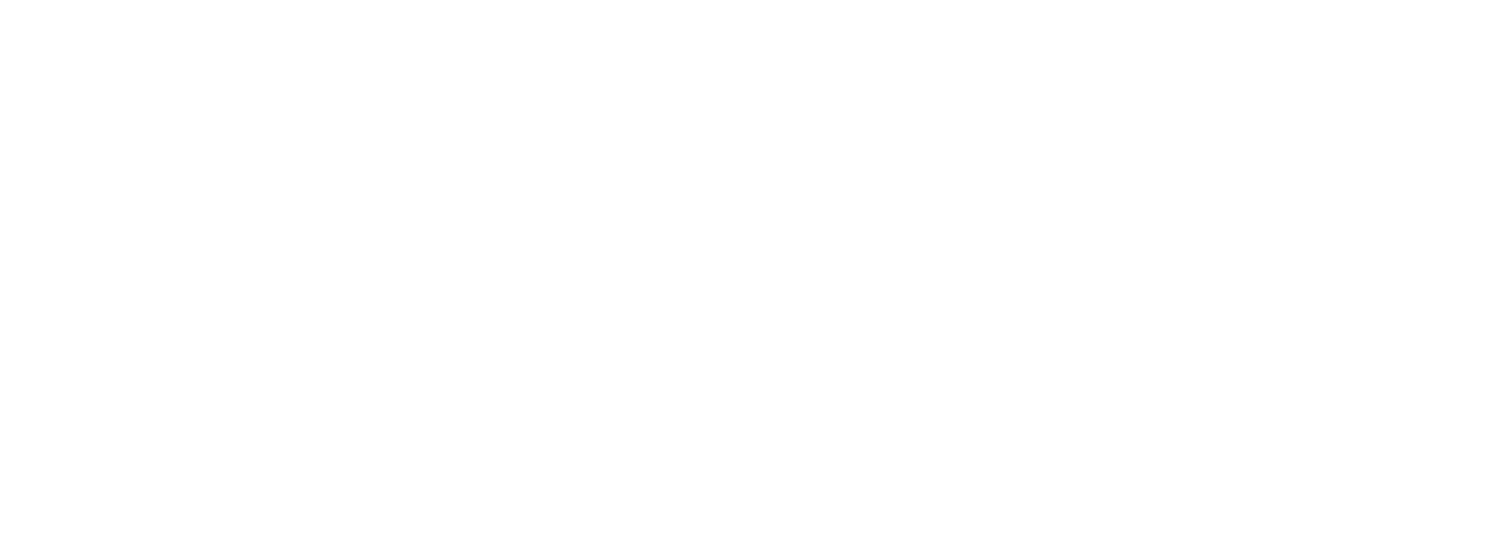 America&#39;s #1 Legal Nurse Consulting Company