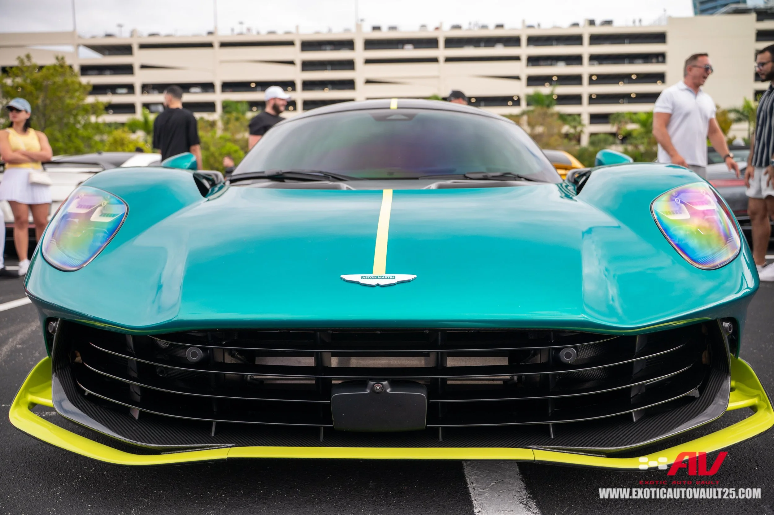 MEP-138.jpg