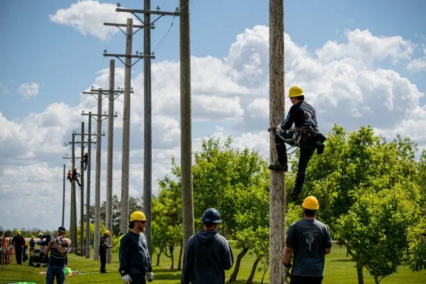 Group of electrical workers installing or repairing power lines on utility poles in a grassy field with trees and a cloudy sky.