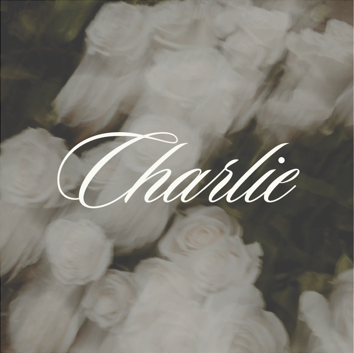 PACKAGE 02 | PARTIAL PLANNING *