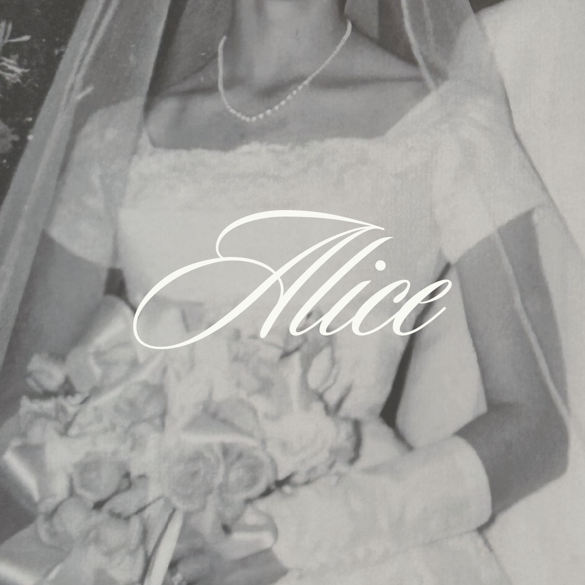 PACKAGE 01 | FULL SERVICE PLANNING