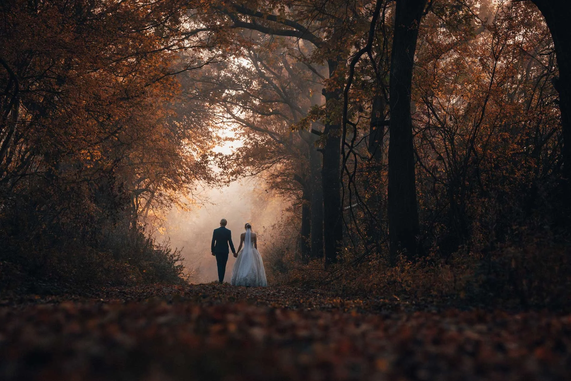 A bride and groom holding hands walking through a dark forest with autumn-colored leaves, illuminated by soft sunlight.